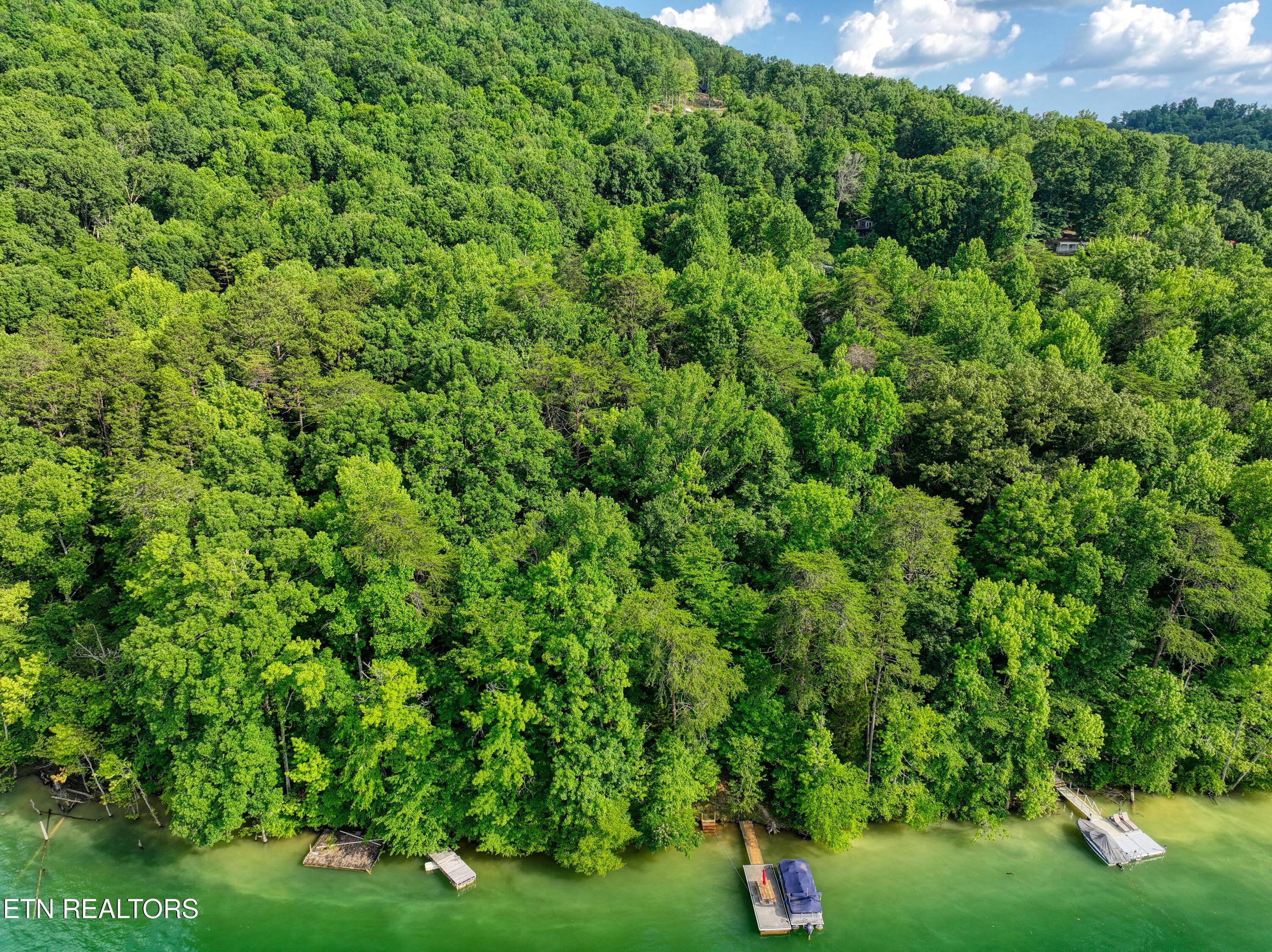 Norris Lake Real Estate - Image# 8