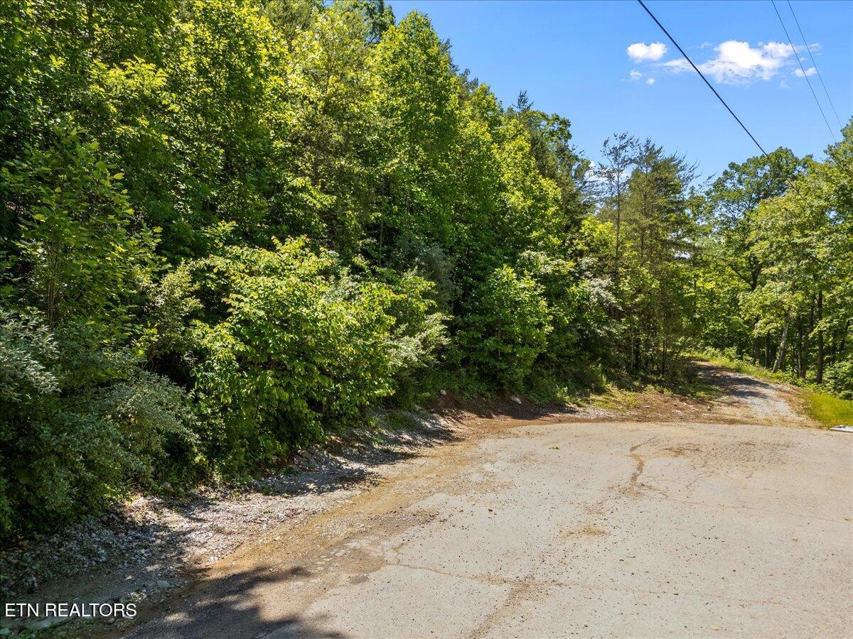 Norris Lake Real Estate - Image# 3