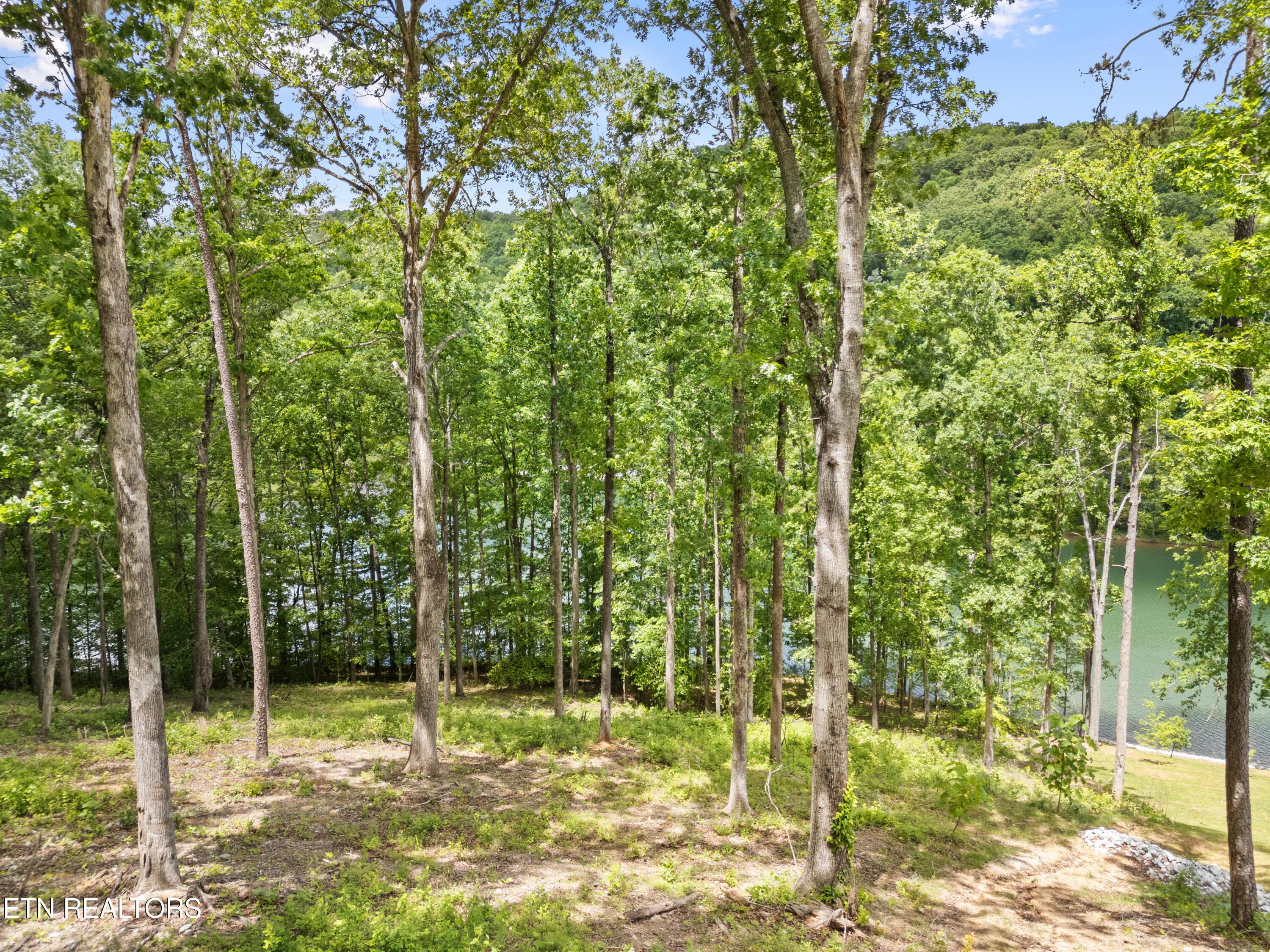 Lot 6 Shanghai Landing Lane, Lafollette, TN - Norris Lake Real Estate - Image# 17