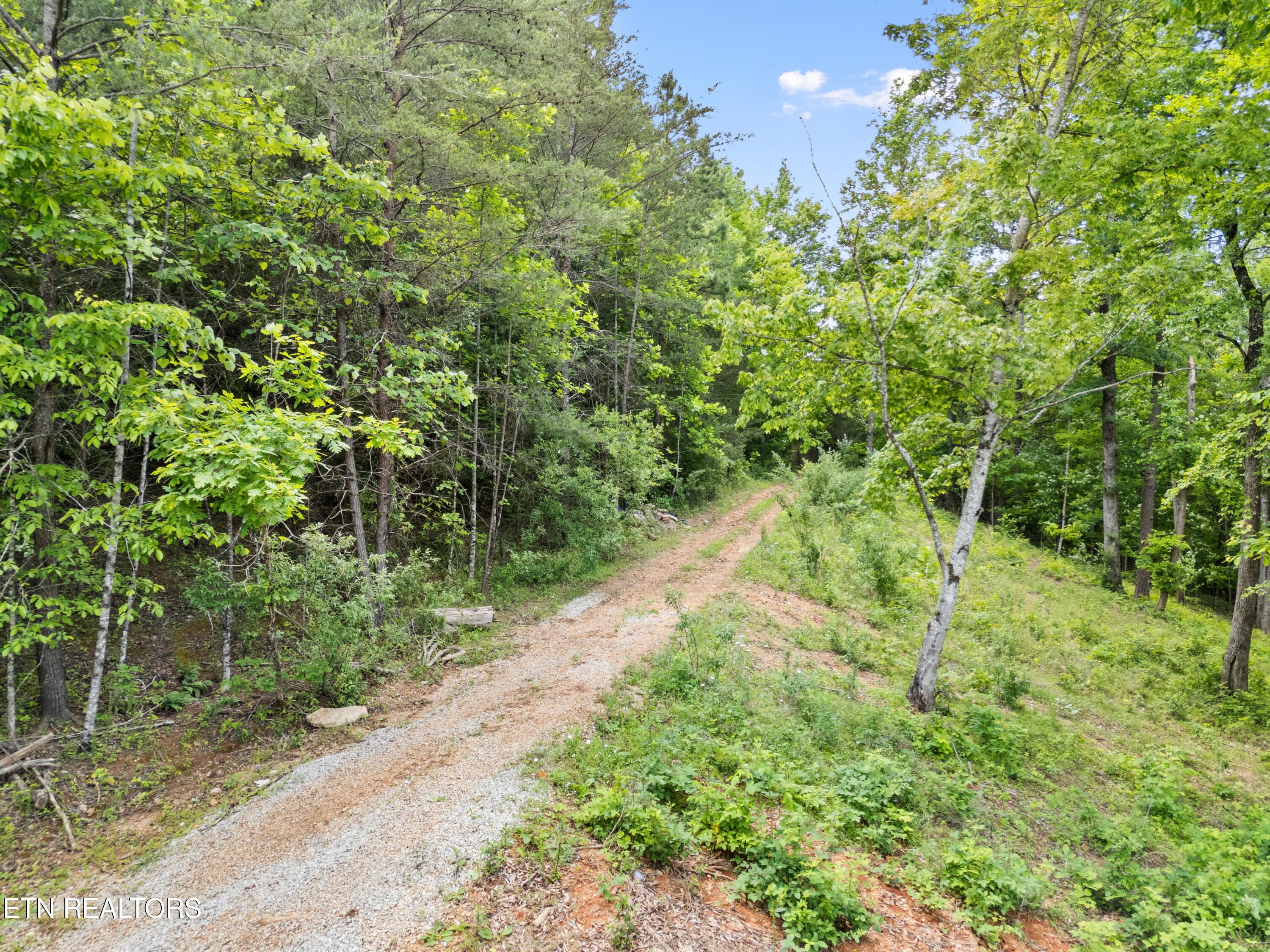 Lot 6 Shanghai Landing Lane, Lafollette, TN - Norris Lake Real Estate - Image# 18