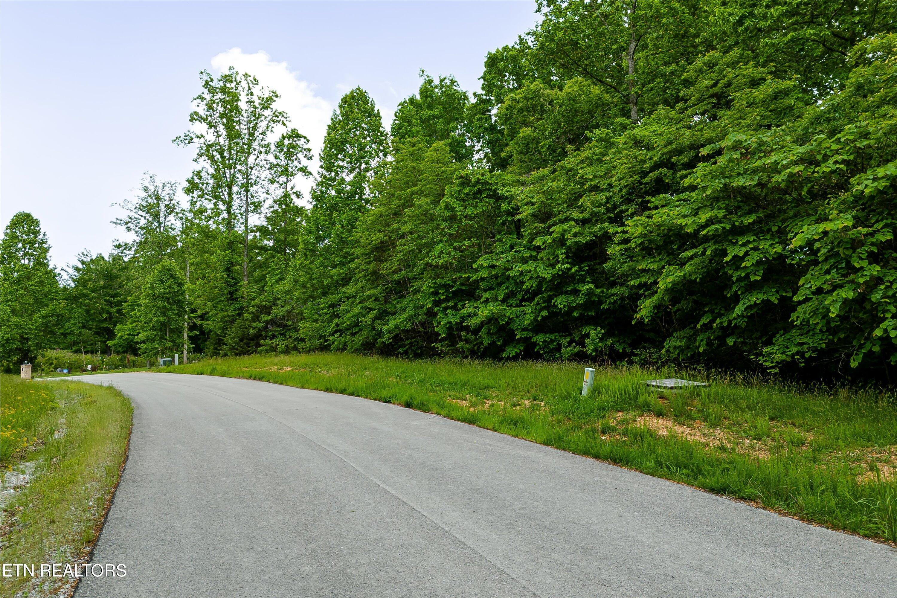 Norris Lake Real Estate - Image# 1