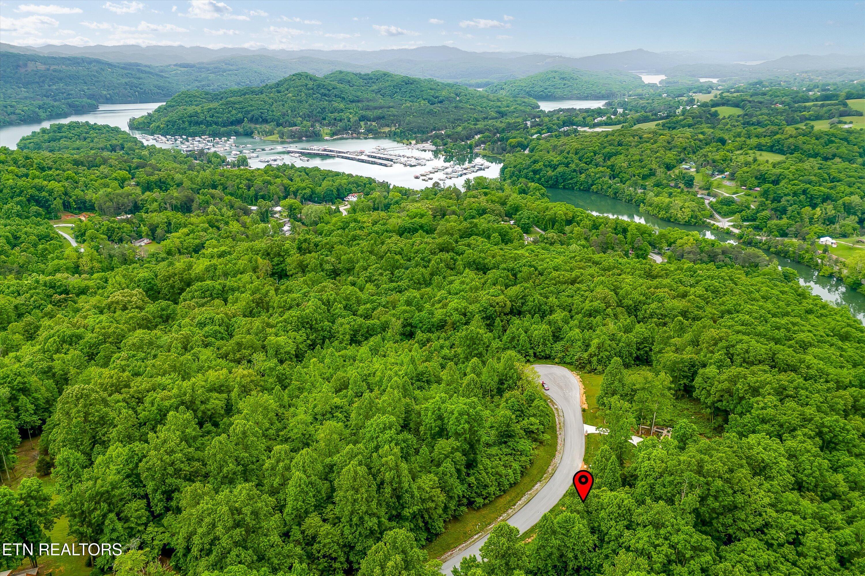 Norris Lake Real Estate - Image# 5