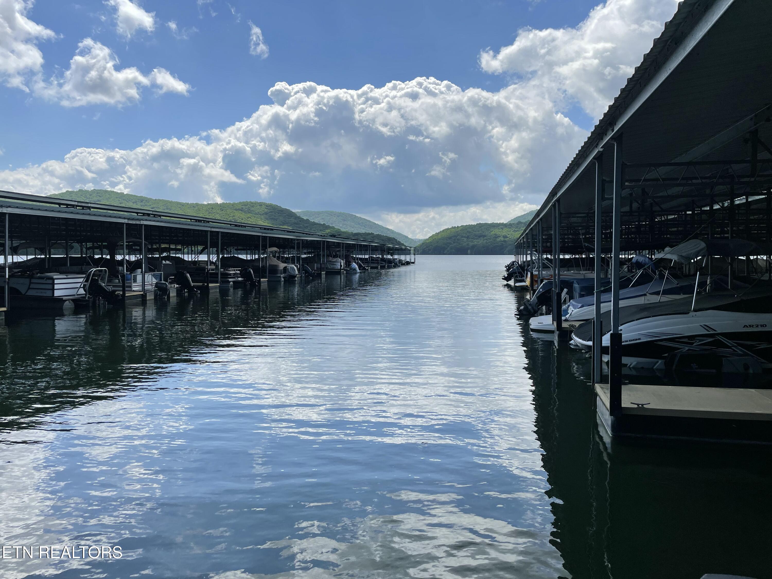 Norris Lake Real Estate - Image# 7