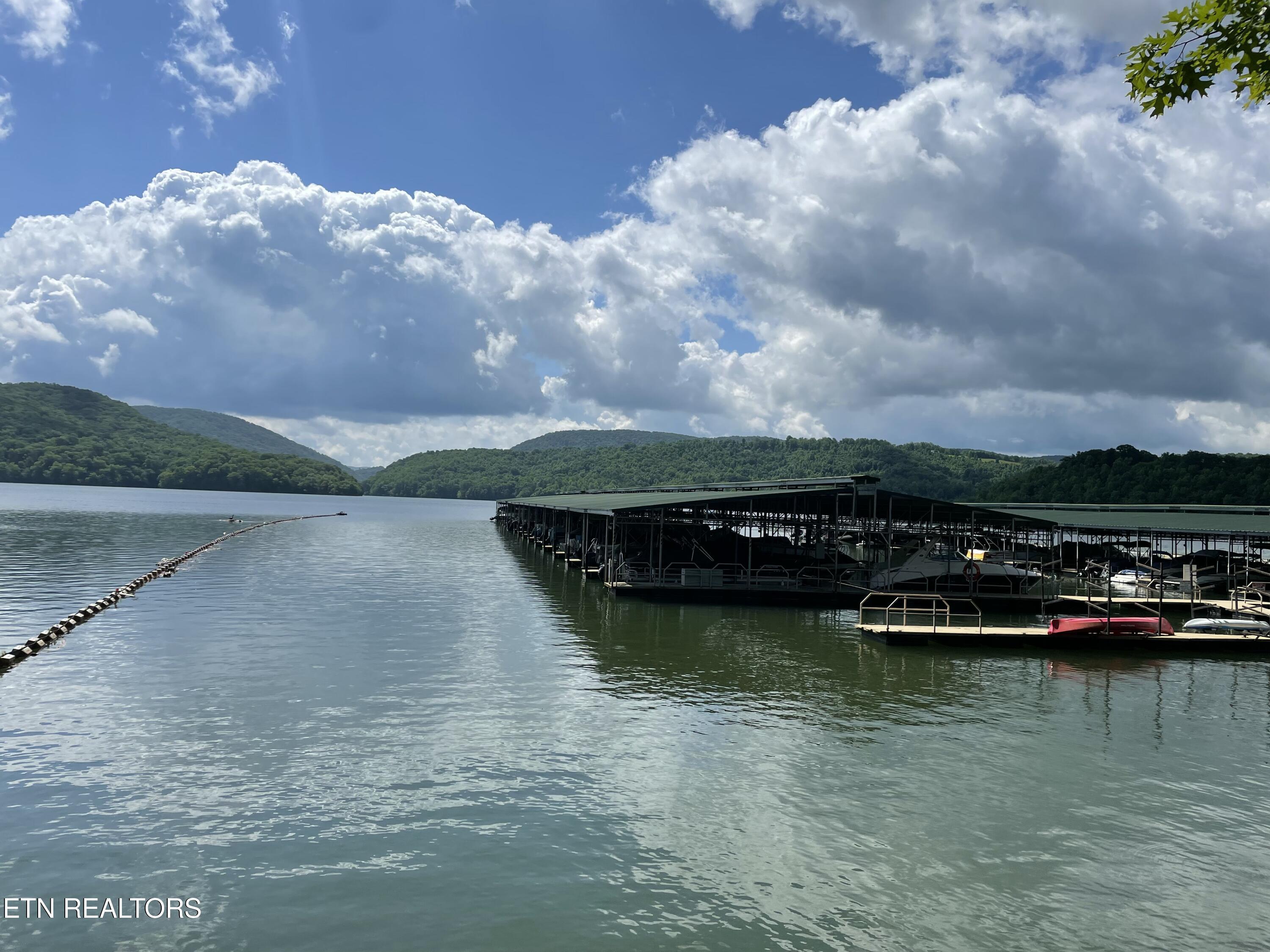 Norris Lake Real Estate - Image# 8