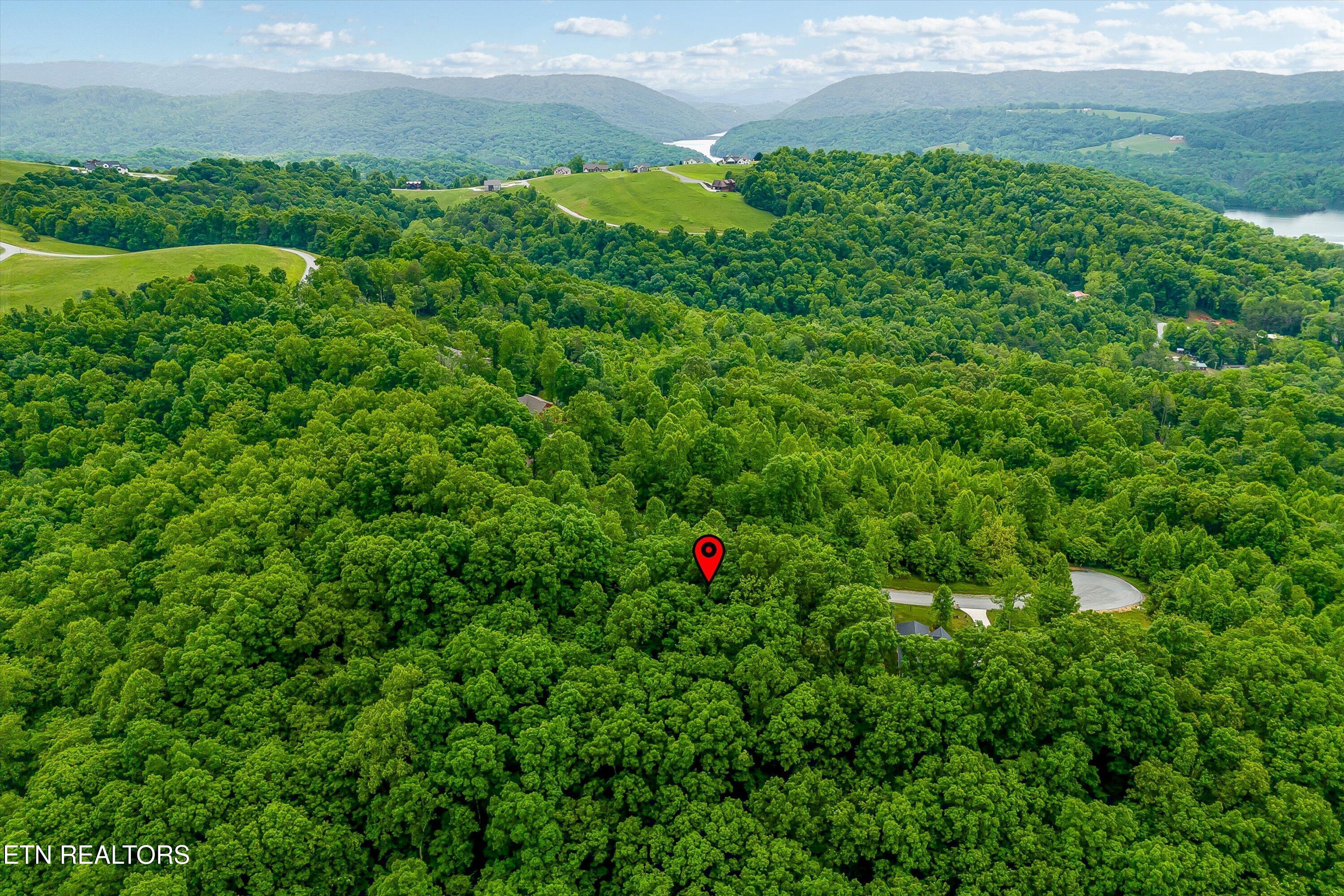 Norris Lake Real Estate - Image# 22