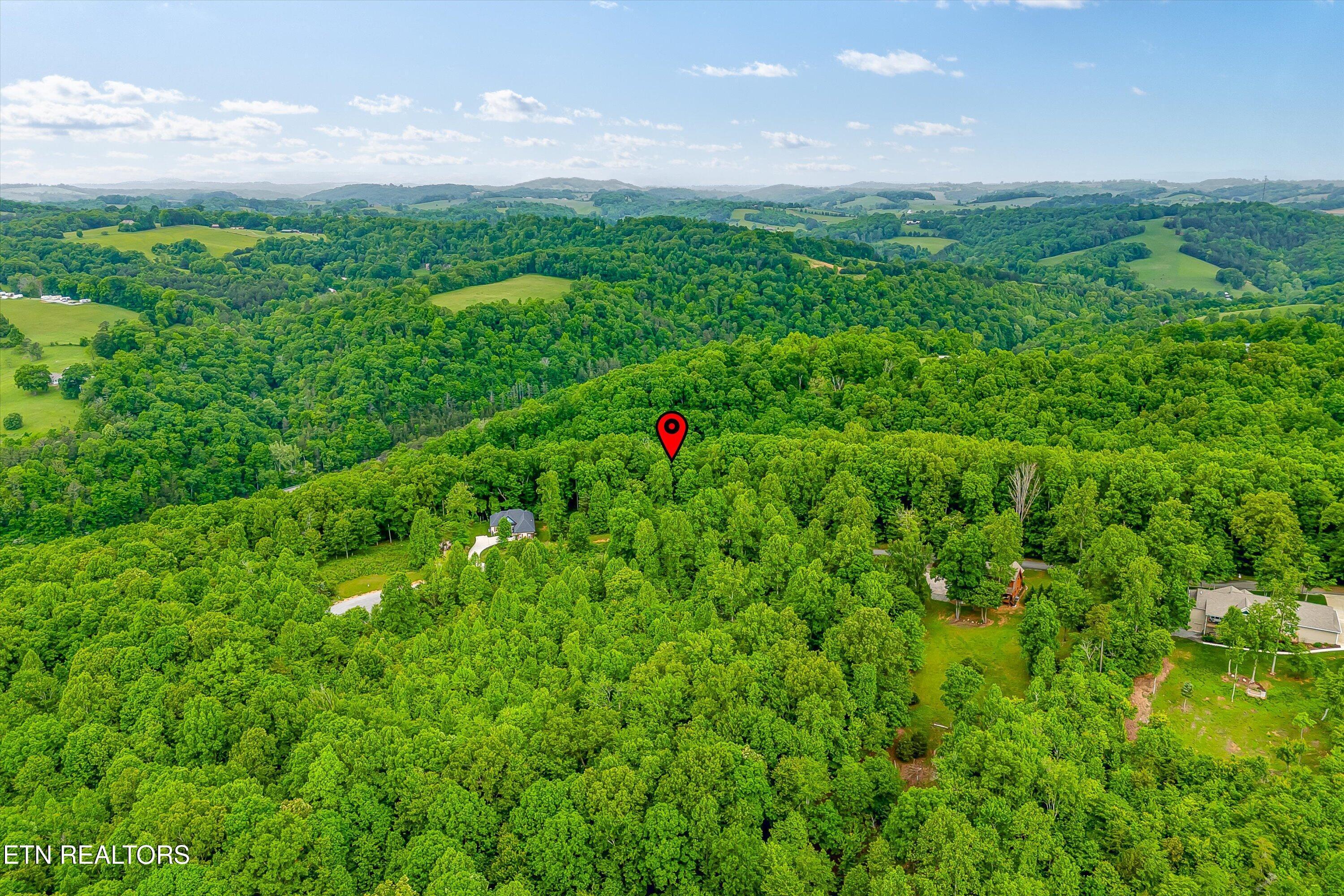 Norris Lake Real Estate - Image# 25