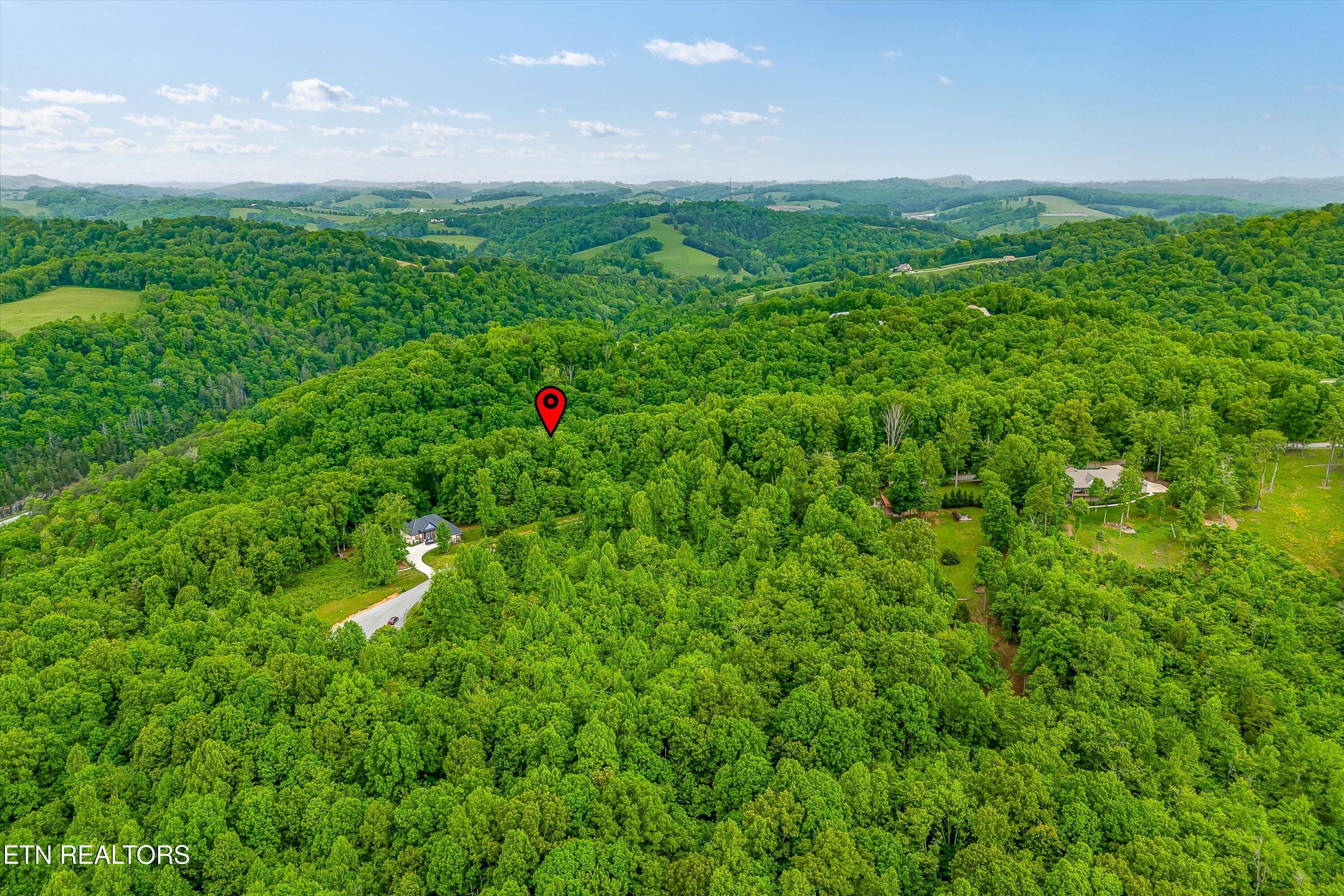 Norris Lake Real Estate - Image# 26