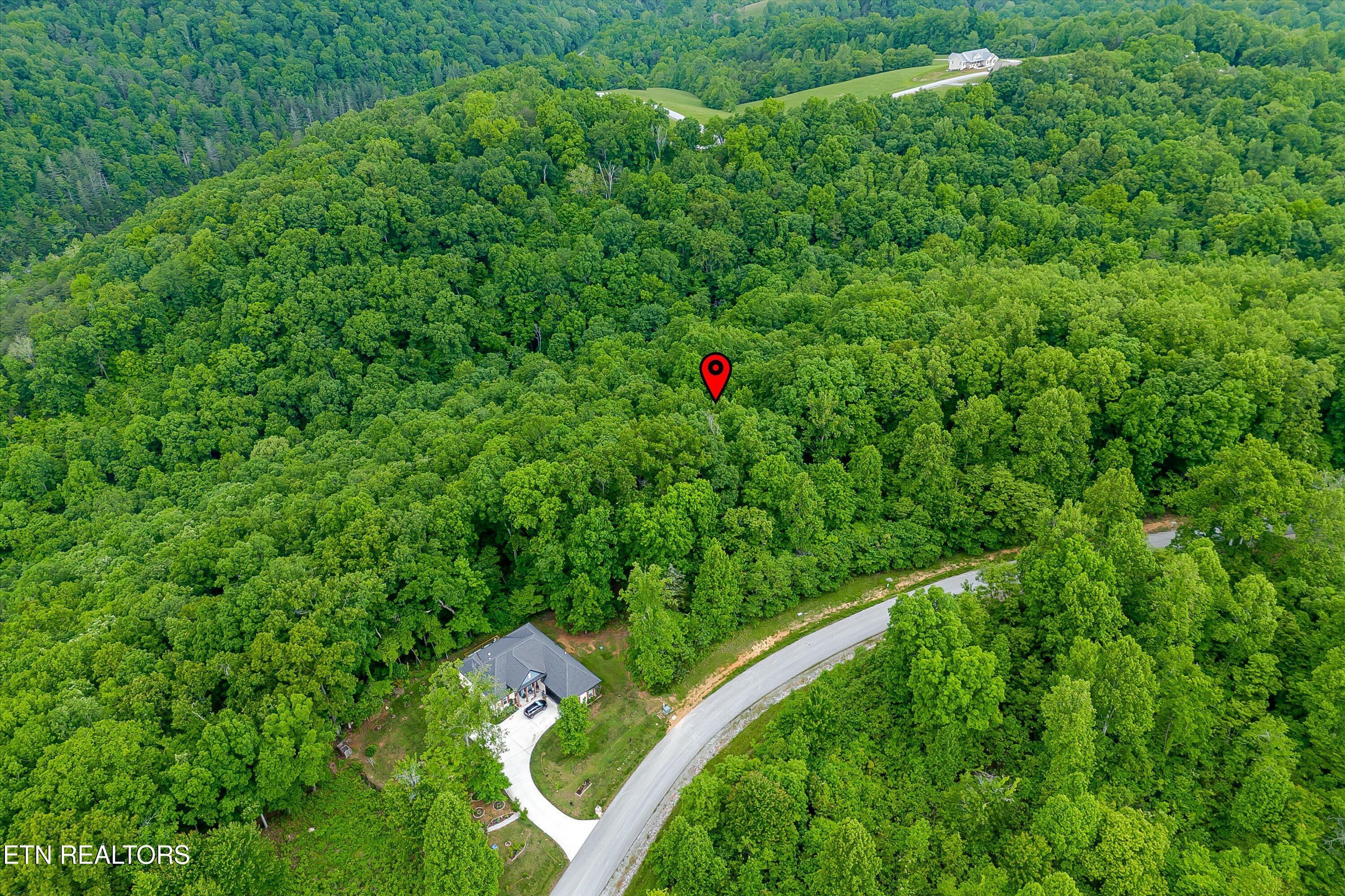 Norris Lake Real Estate - Image# 27