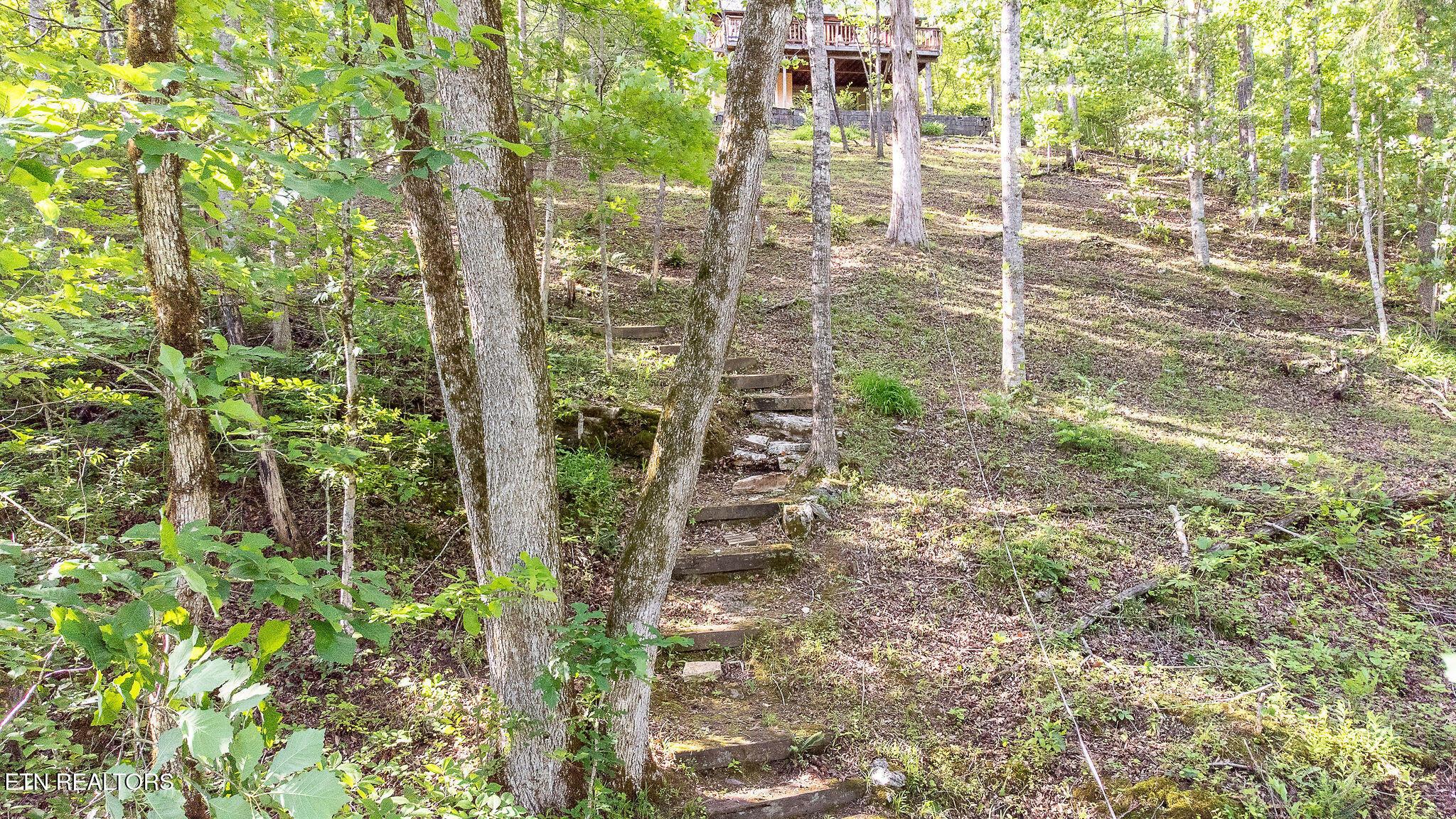 258 Marina Lane, Lafollette, TN - Norris Lake Real Estate - Image# 29
