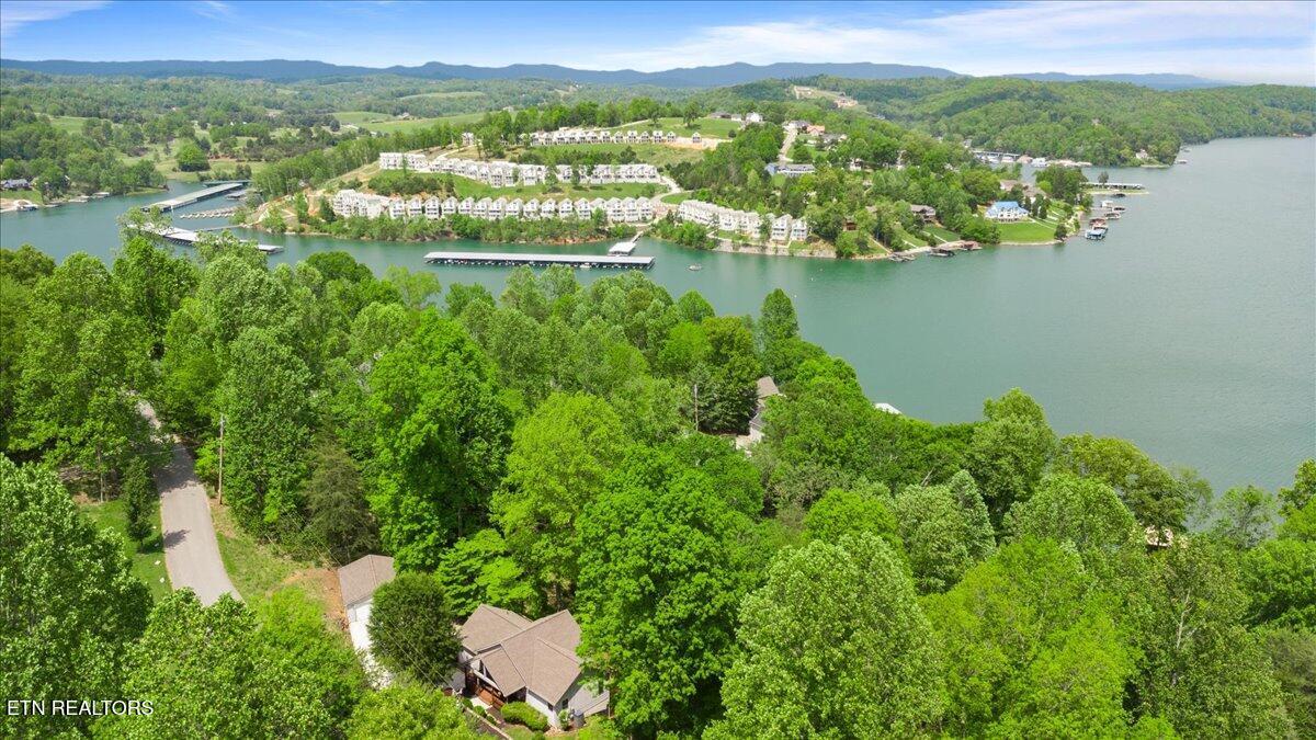 334 Little Buck Lane, Lafollette, TN - Norris Lake Real Estate - Image# 8