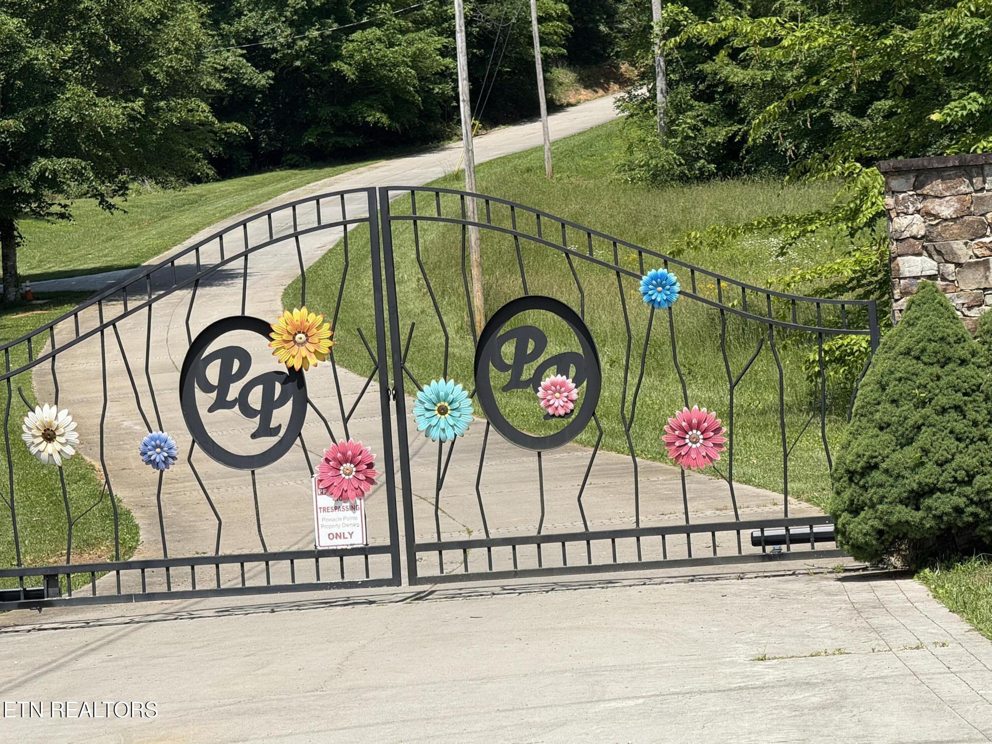 Norris Lake Real Estate - Image# 1