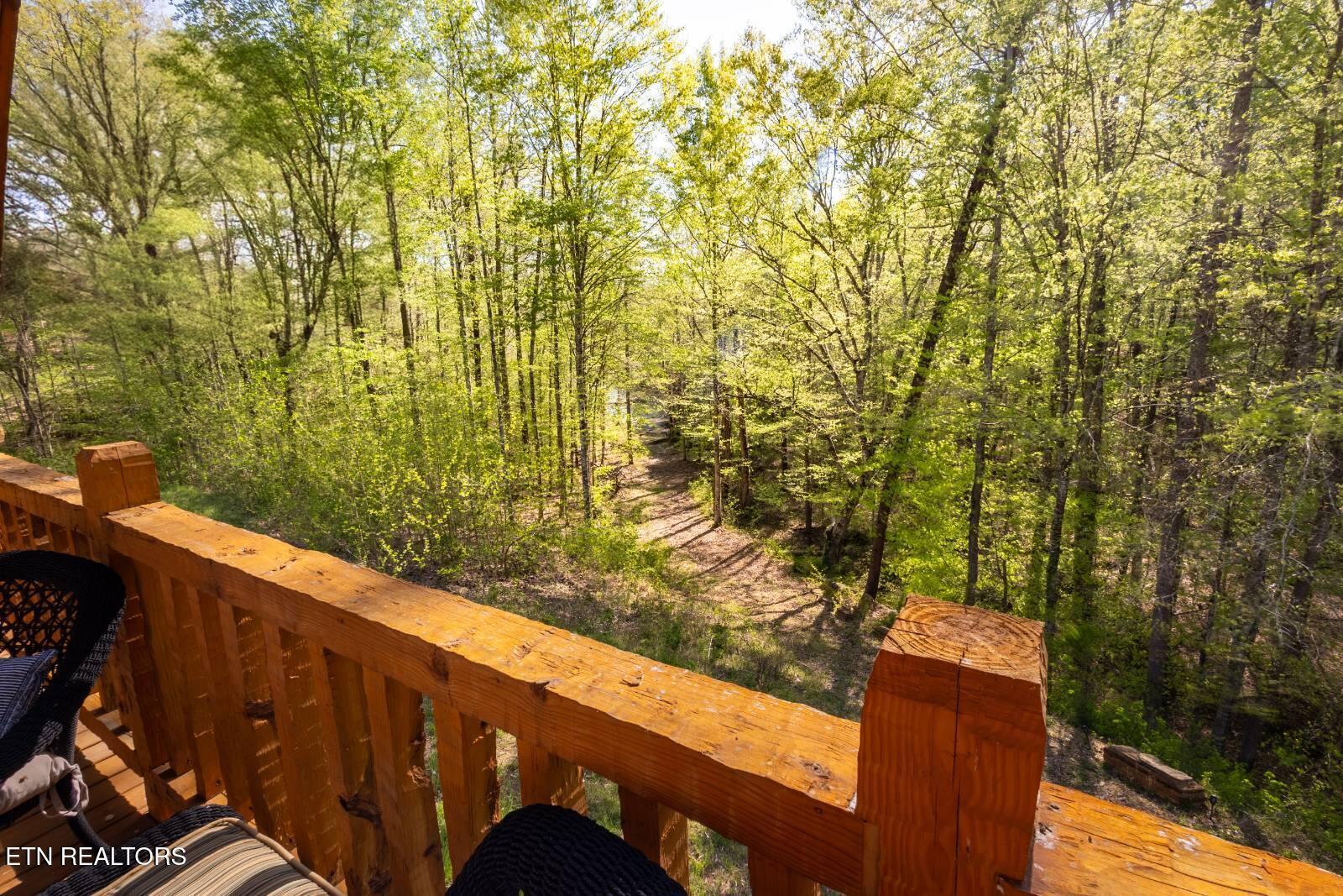 Norris Lake Real Estate - Image# 22