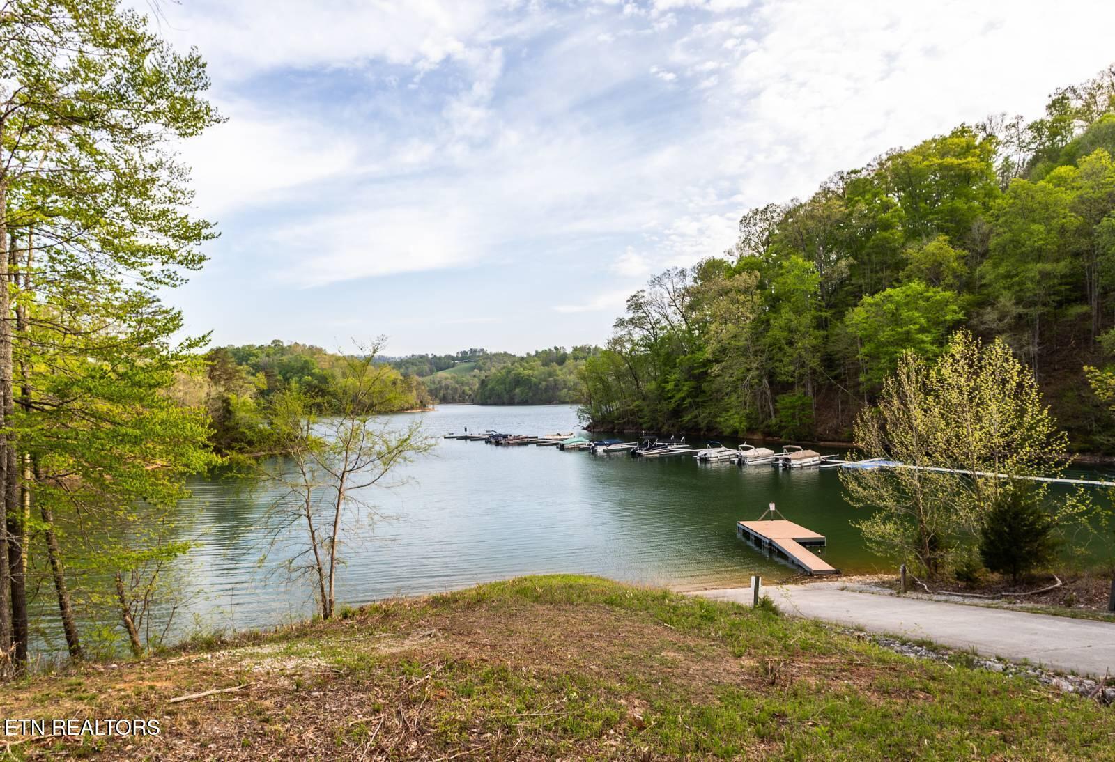 Norris Lake Real Estate - Image# 31
