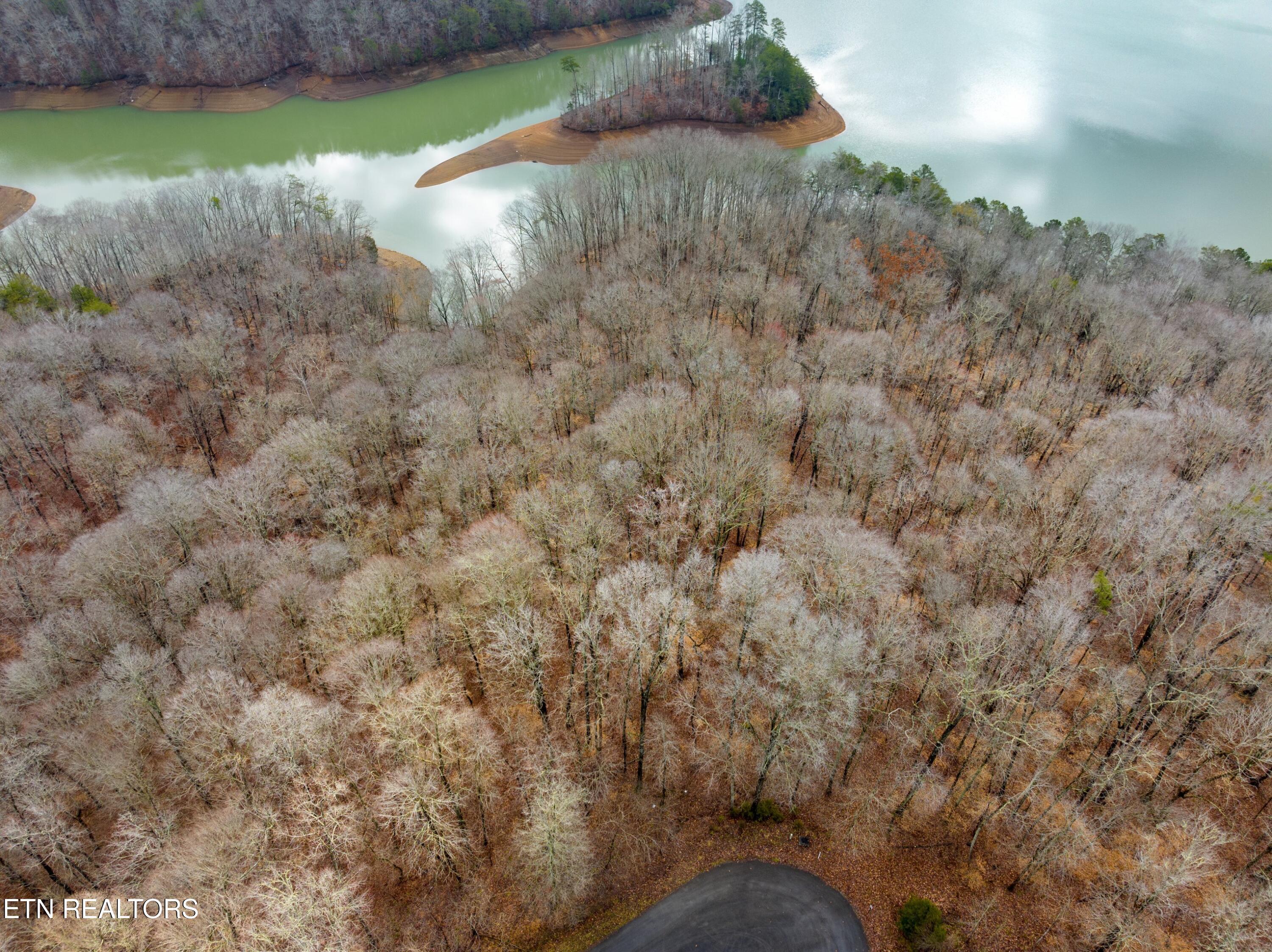 Norris Lake Real Estate - Image# 13
