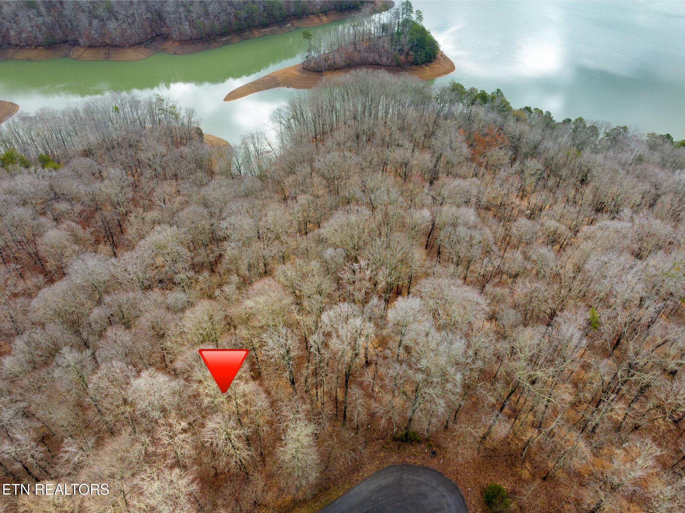 Norris Lake Real Estate - Image# 3