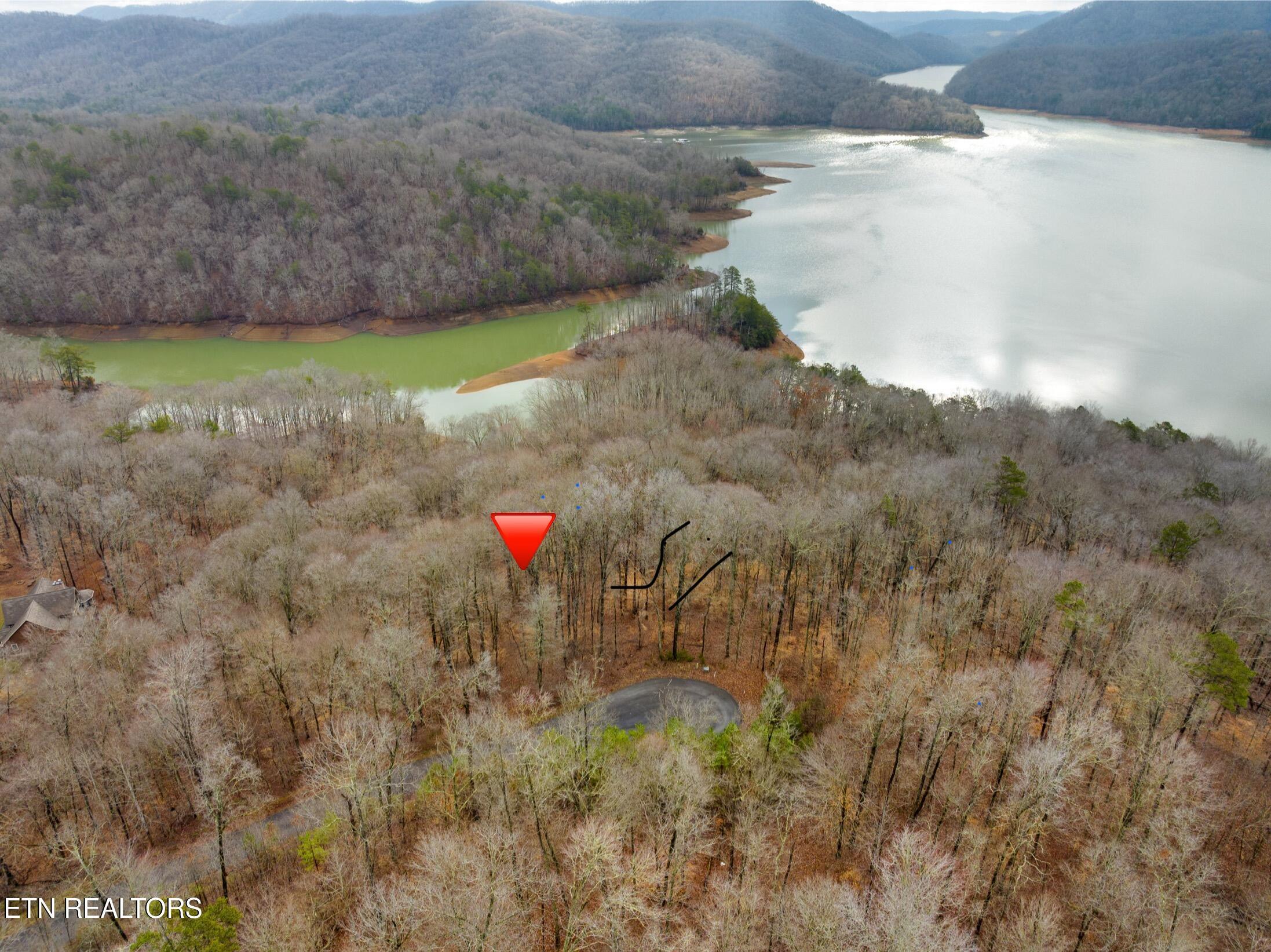 Norris Lake Real Estate - Image# 4