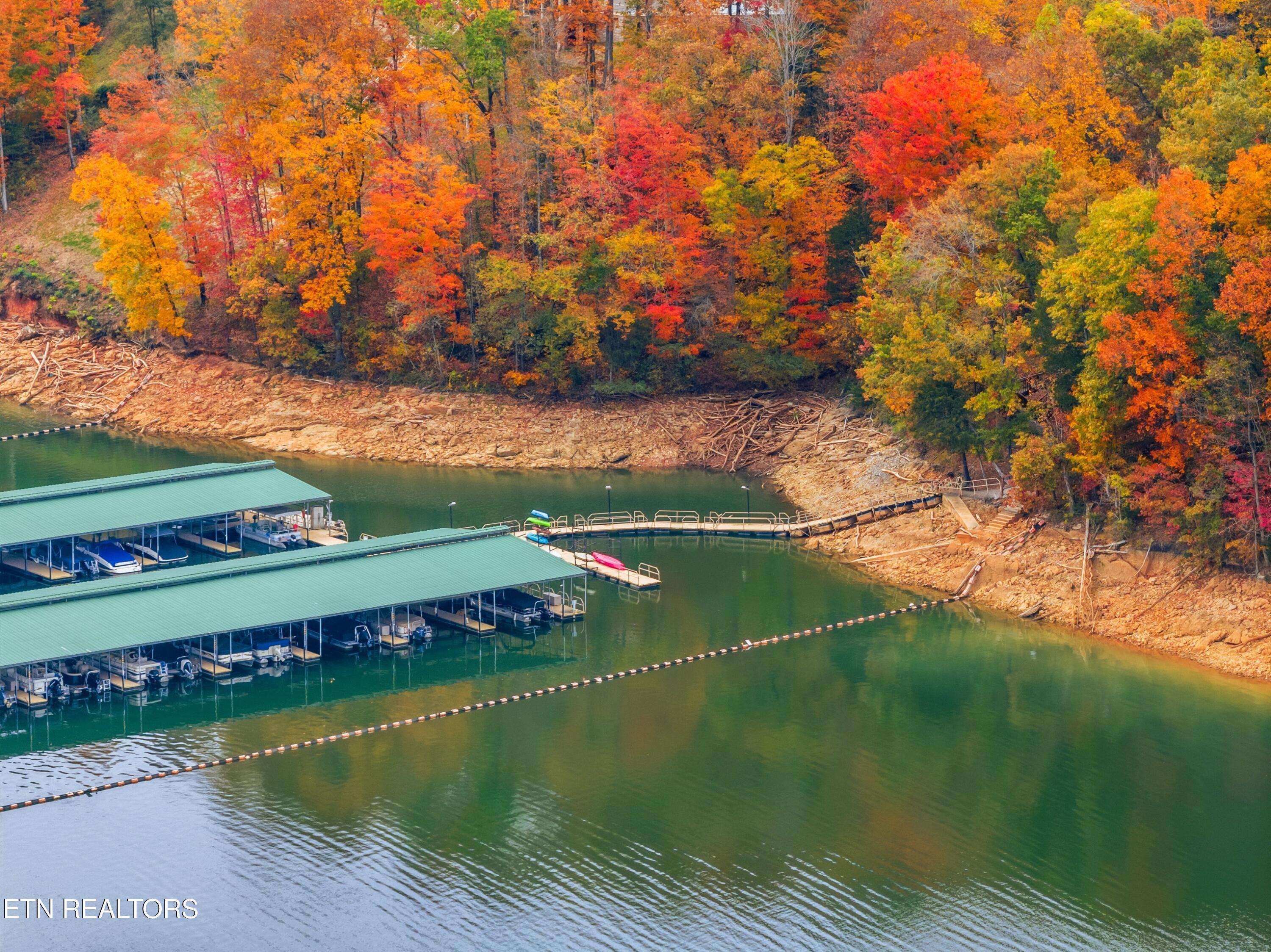 Norris Lake Real Estate - Image# 35