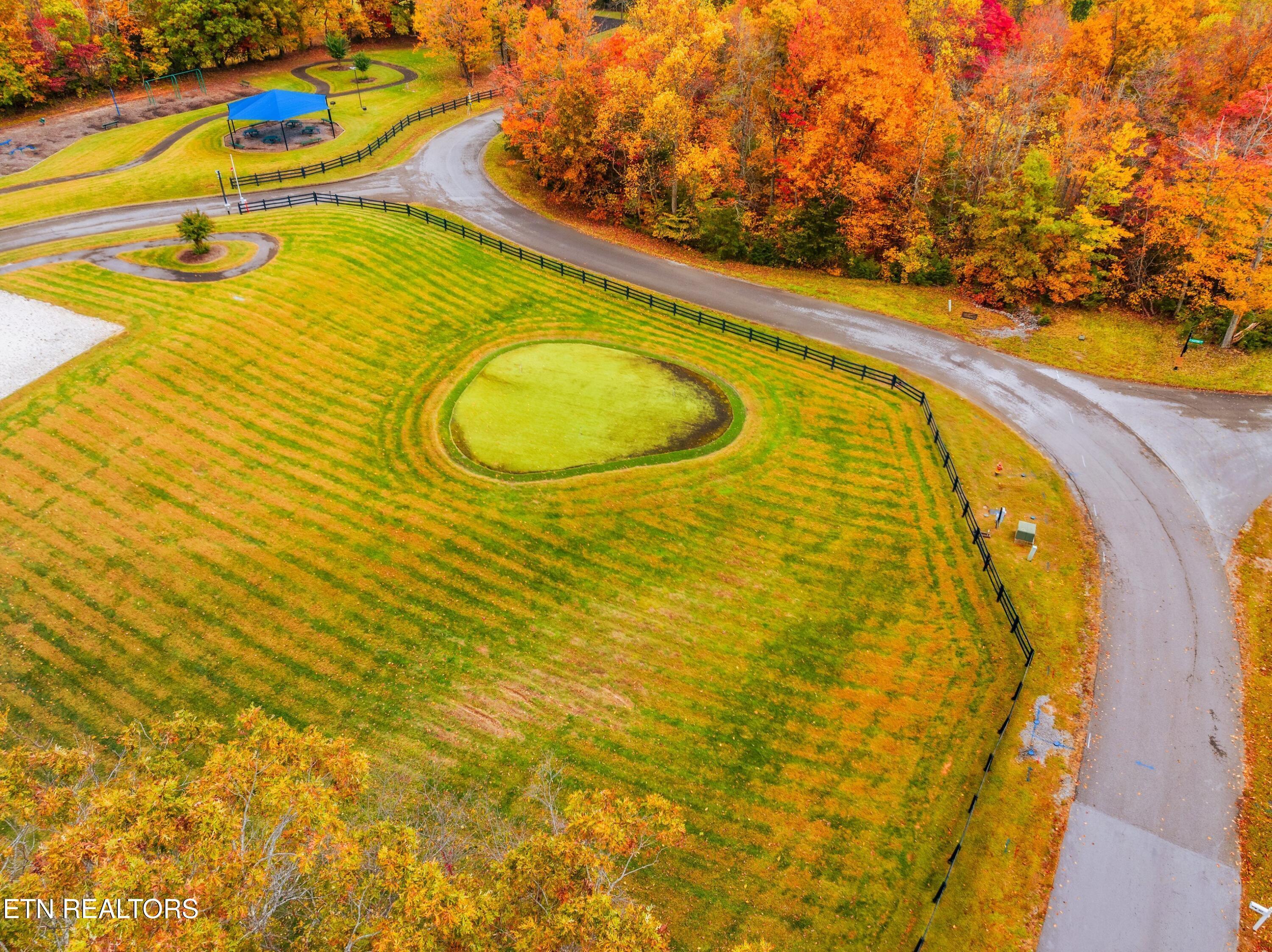 Norris Lake Real Estate - Image# 38