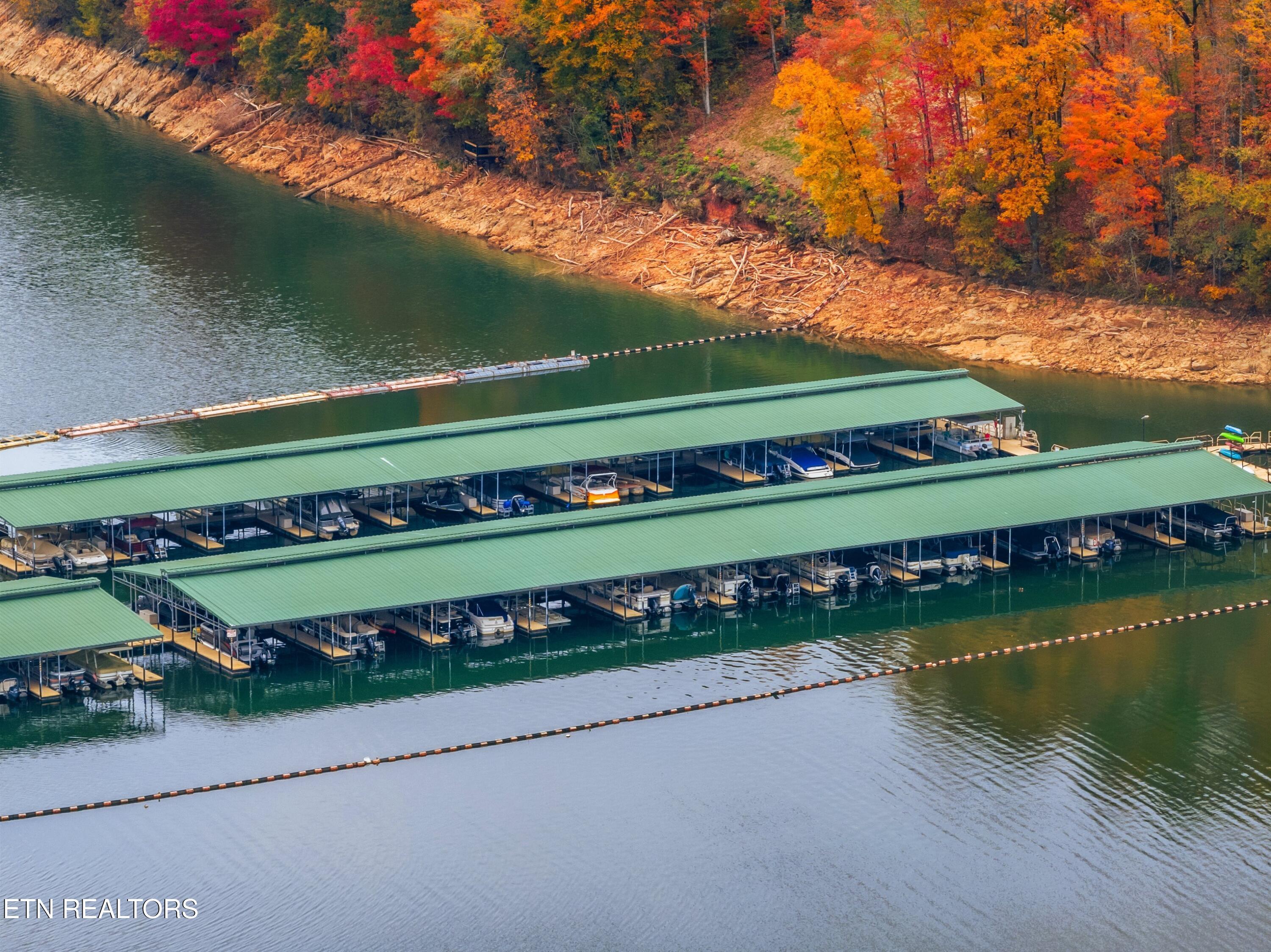 Norris Lake Real Estate - Image# 39