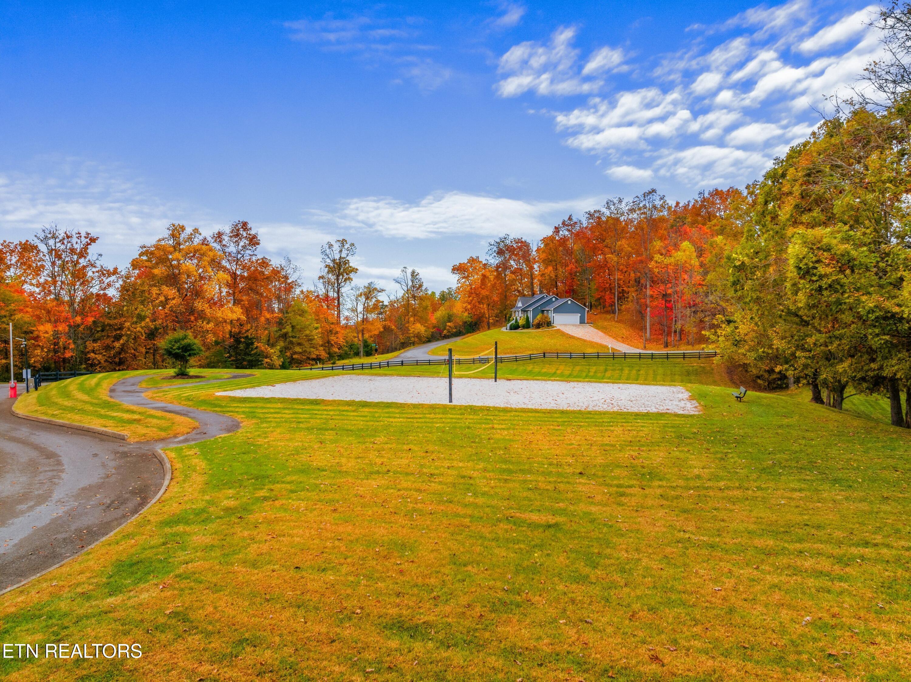 Norris Lake Real Estate - Image# 46