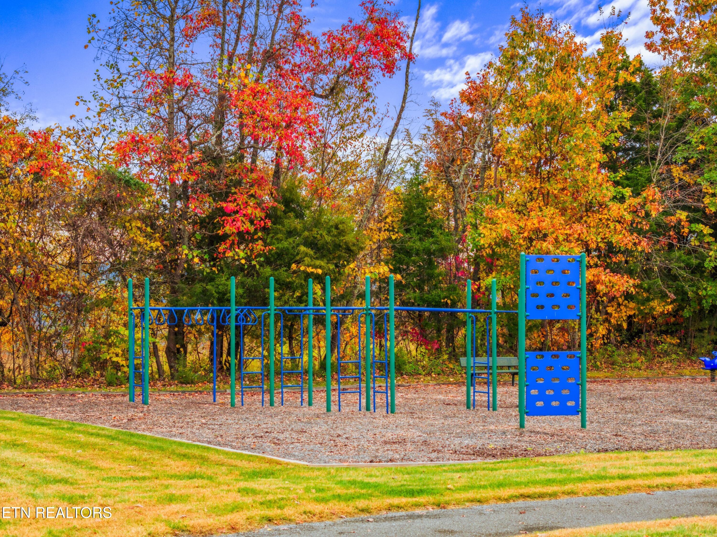 Norris Lake Real Estate - Image# 48