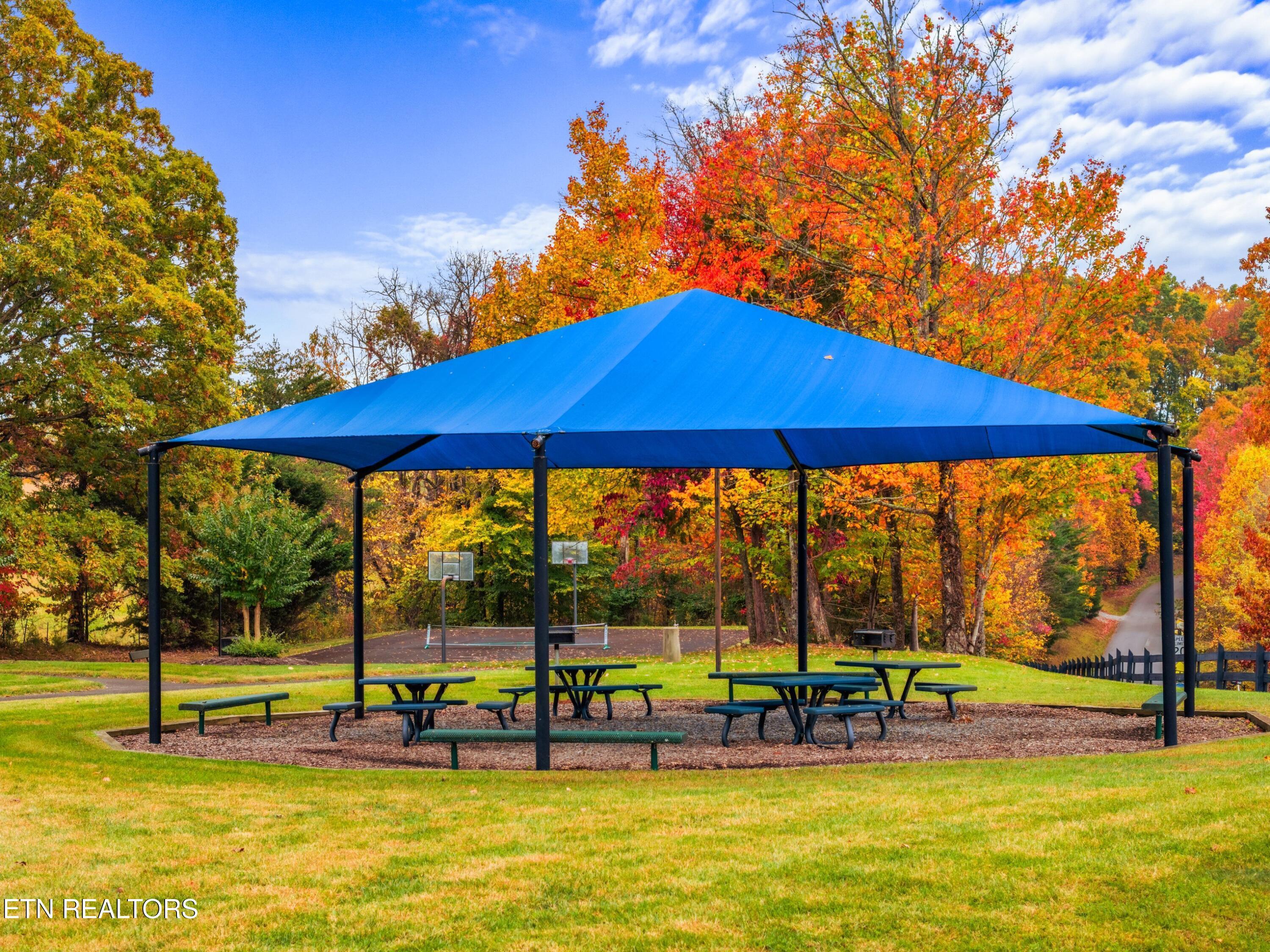 Norris Lake Real Estate - Image# 50