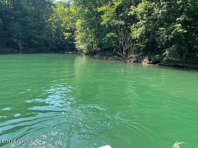Cheri Ln Lot 65, Caryville, TN - Norris Lake Real Estate - Image# 6