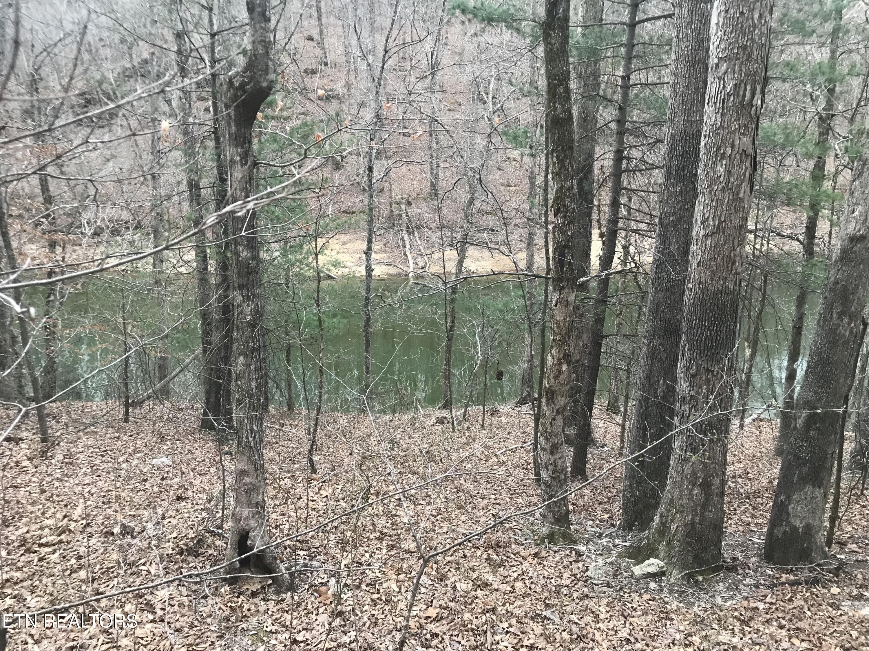 Cheri Ln Lot 65, Caryville, TN - Norris Lake Real Estate - Image# 4