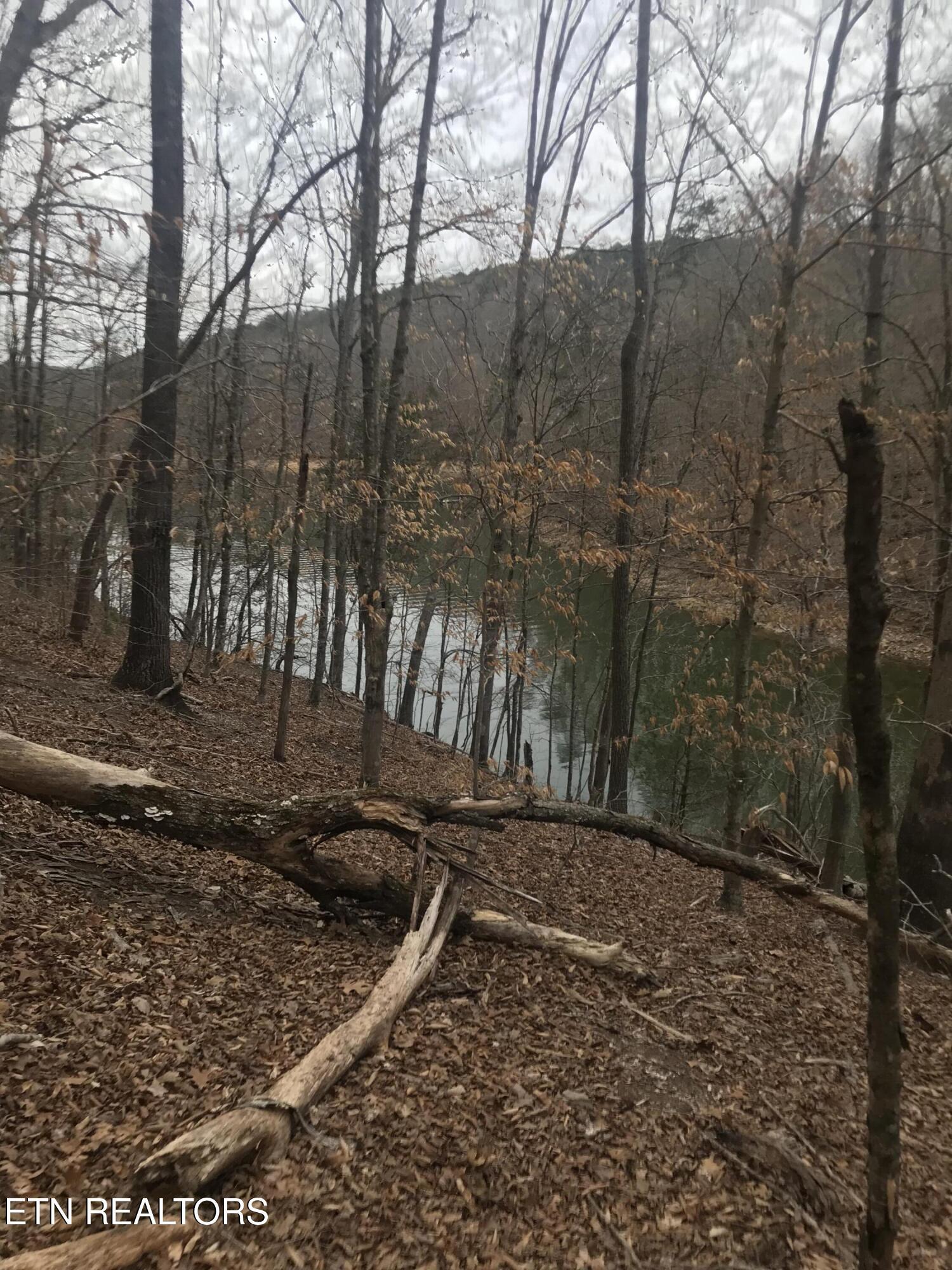 Cheri Ln Lot 65, Caryville, TN - Norris Lake Real Estate - Image# 5