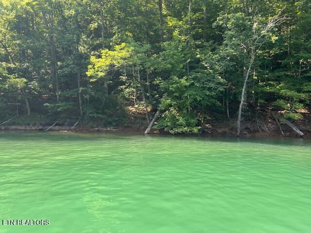 Norris Lake Real Estate - Image# 2