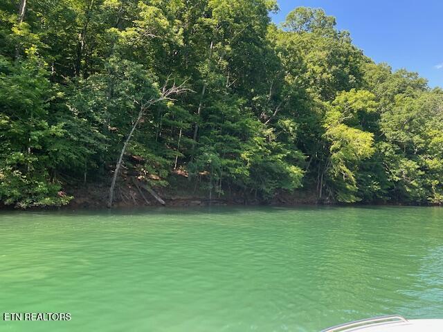 Norris Lake Real Estate - Image# 23
