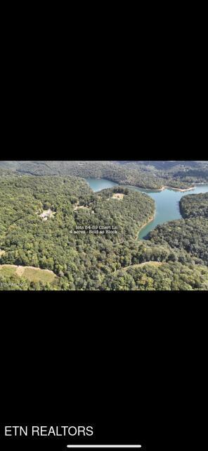 Norris Lake Real Estate - Image# 11