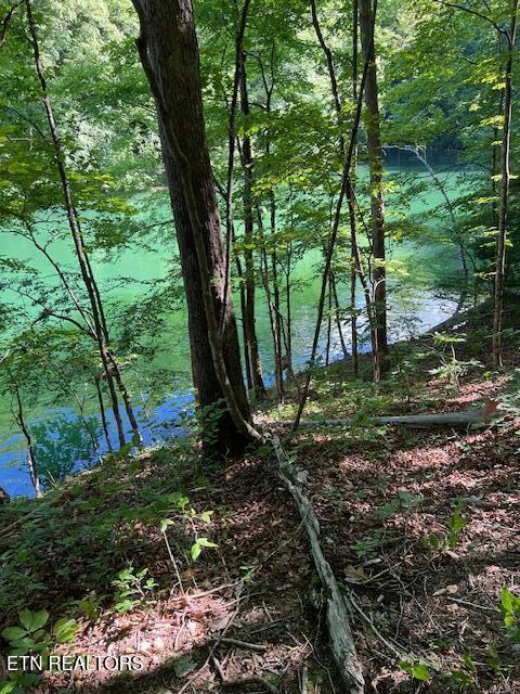 Norris Lake Real Estate - Image# 16