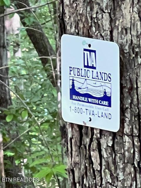 Norris Lake Real Estate - Image# 18