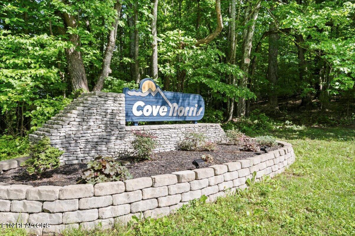 N Shorewood Ln, Lot 20, Caryville, TN - Norris Lake Real Estate - Image# 9