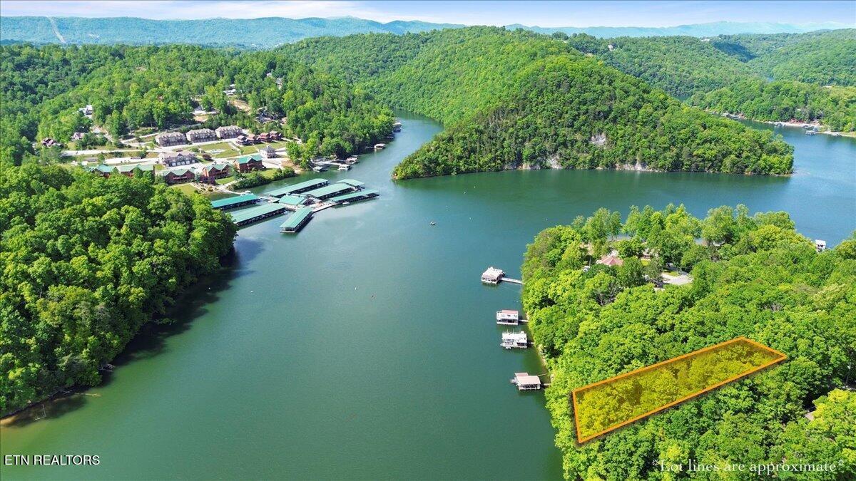 N Shorewood Ln, Lot 20, Caryville, TN - Norris Lake Real Estate - Image# 5