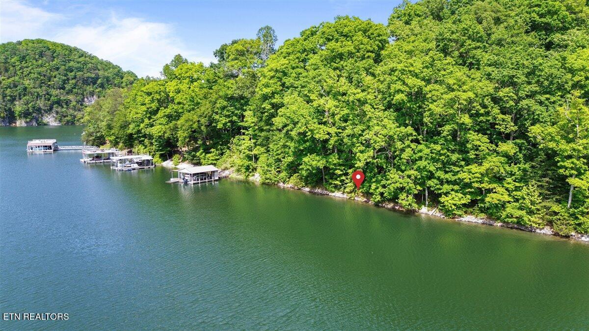 N Shorewood Ln, Lot 20, Caryville, TN - Norris Lake Real Estate - Image# 6