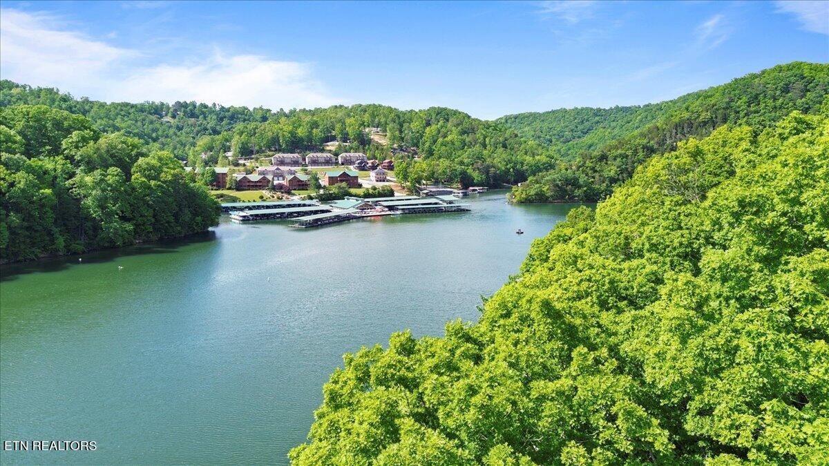 N Shorewood Ln, Lot 20, Caryville, TN - Norris Lake Real Estate - Image# 12