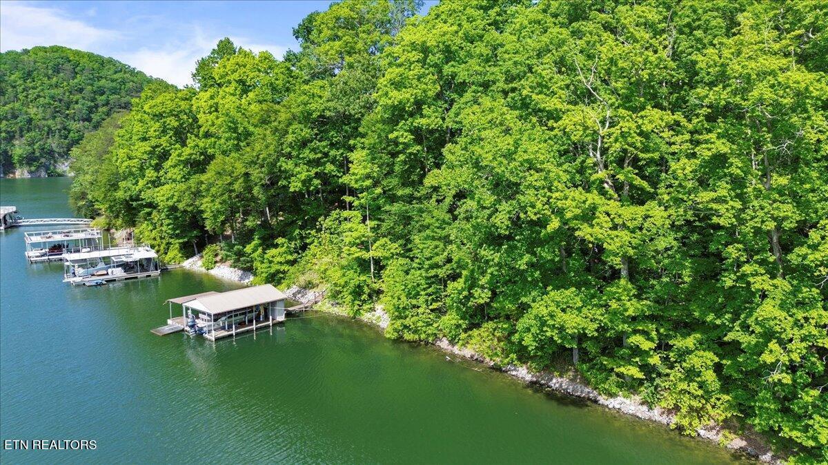 N Shorewood Ln, Lot 20, Caryville, TN - Norris Lake Real Estate - Image# 10