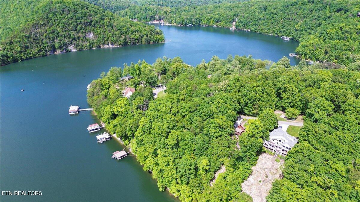 N Shorewood Ln, Lot 20, Caryville, TN - Norris Lake Real Estate - Image# 14