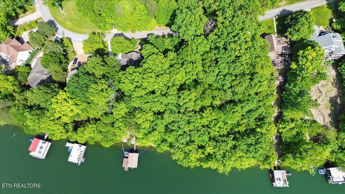 N Shorewood Ln, Lot 20, Caryville, TN - Norris Lake Real Estate - Image# 15