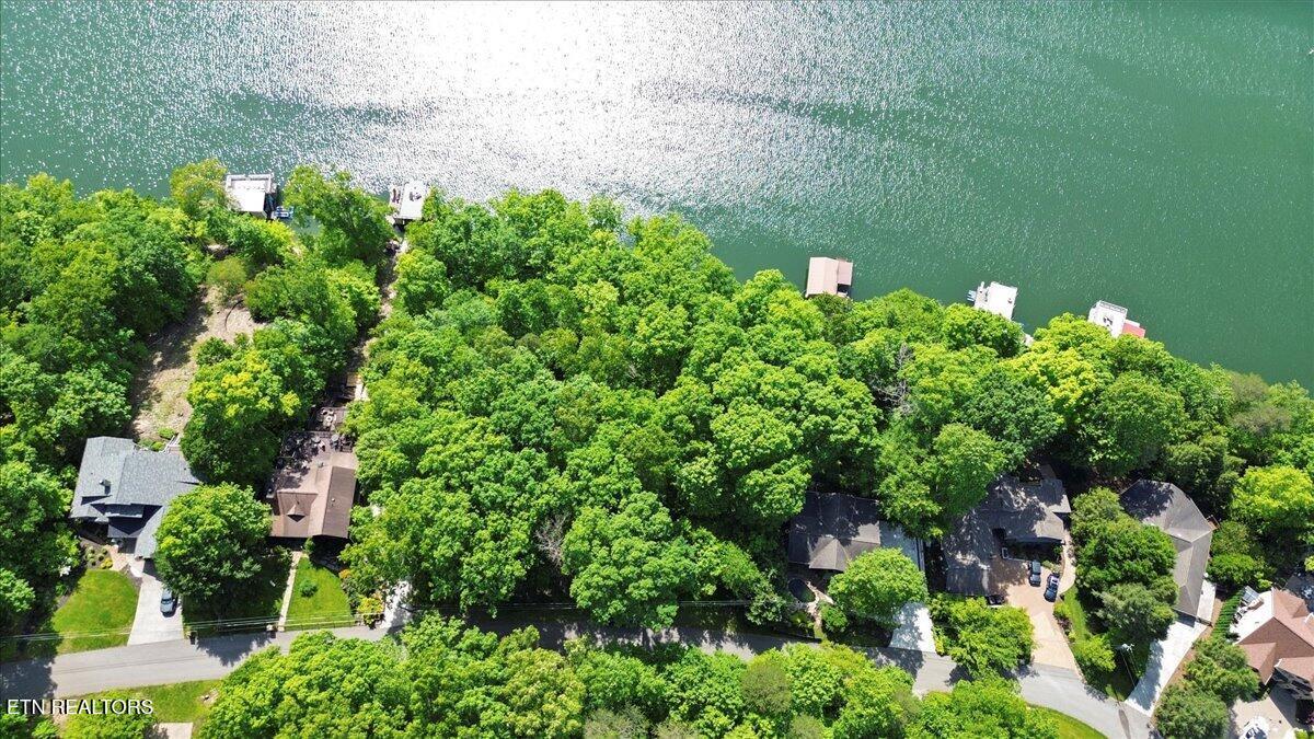 N Shorewood Ln, Lot 20, Caryville, TN - Norris Lake Real Estate - Image# 16