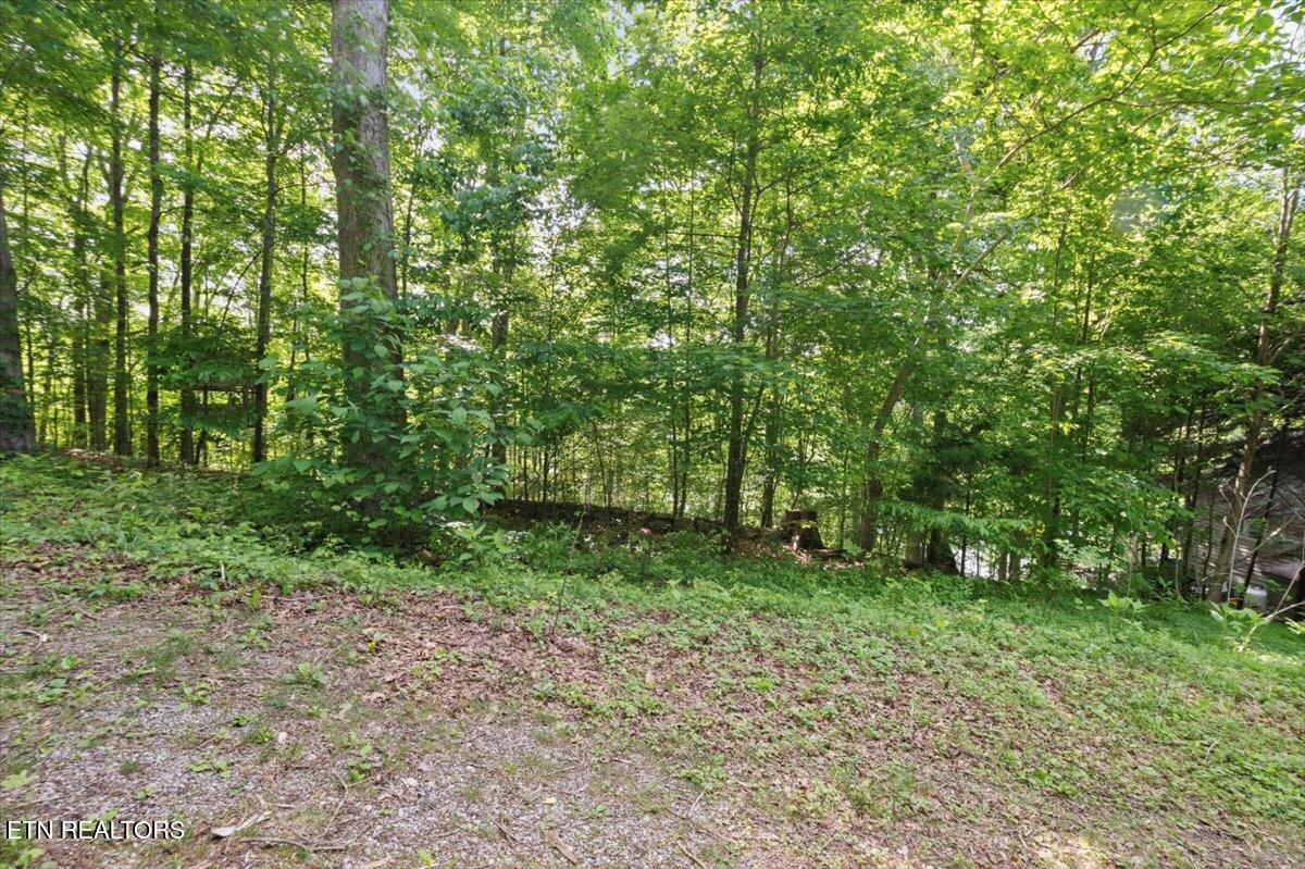 N Shorewood Ln, Lot 20, Caryville, TN - Norris Lake Real Estate - Image# 17