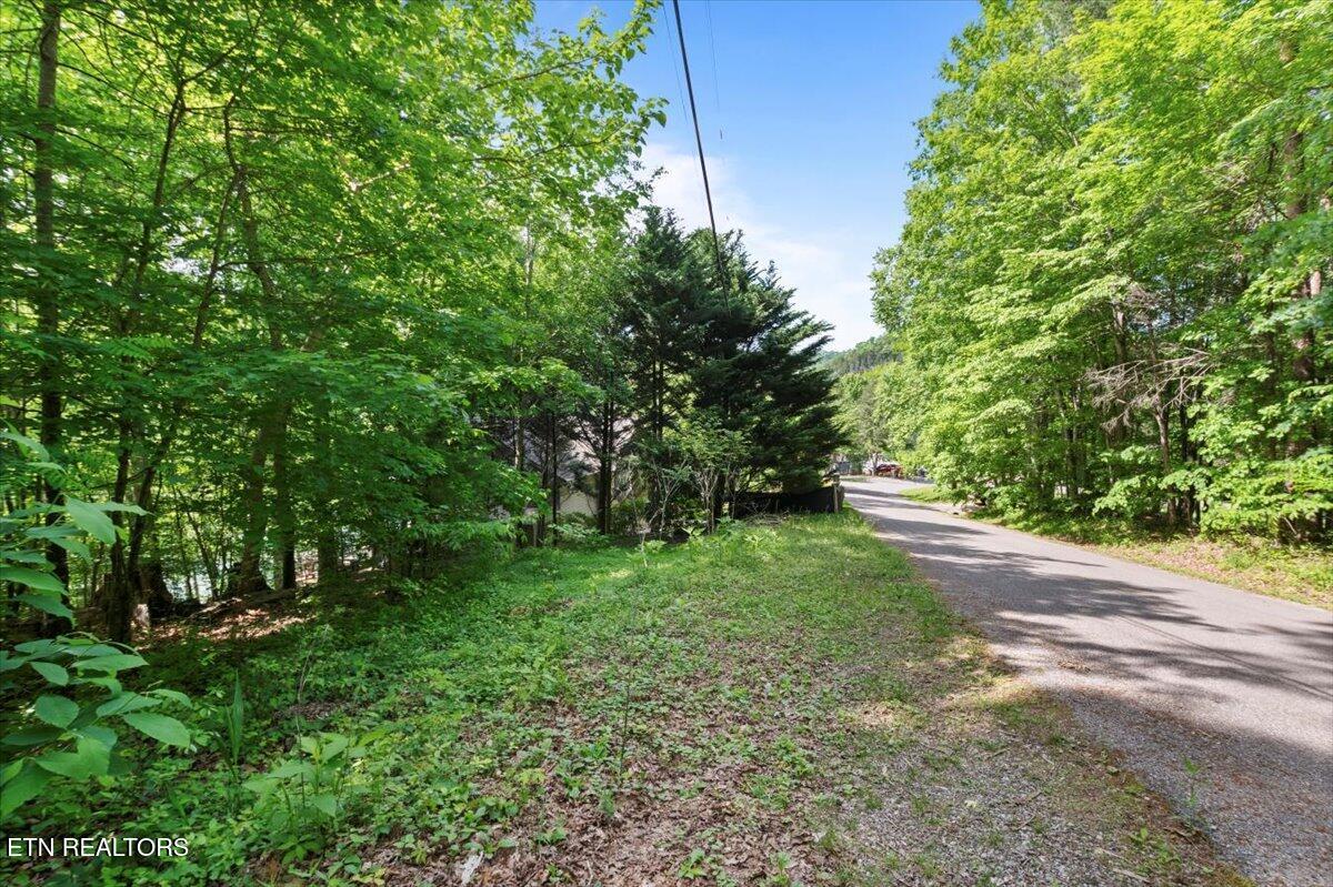 N Shorewood Ln, Lot 20, Caryville, TN - Norris Lake Real Estate - Image# 7