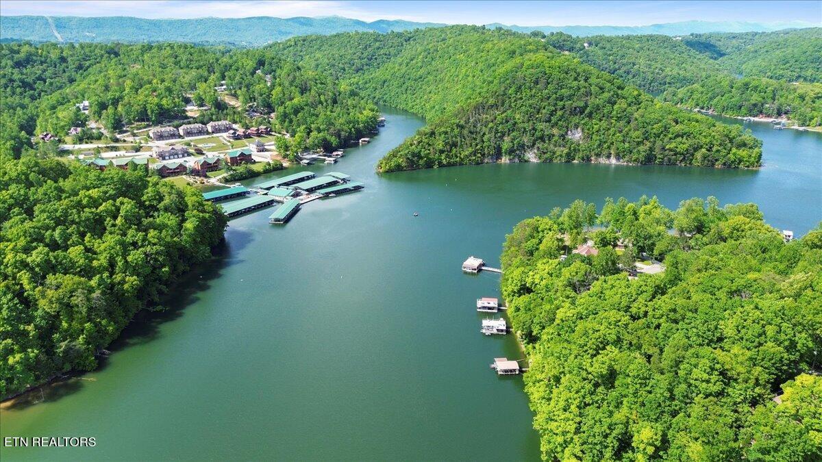 N Shorewood Ln, Lot 20, Caryville, TN - Norris Lake Real Estate - Image# 18