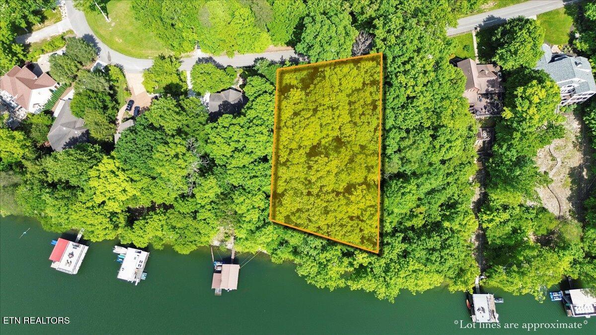 N Shorewood Ln, Lot 20, Caryville, TN - Norris Lake Real Estate - Image# 4