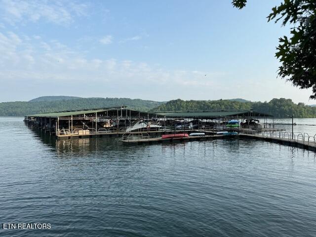 888 Smokey Quartz Blvd Blvd, New Tazewell, TN - Norris Lake Real Estate - Image# 60