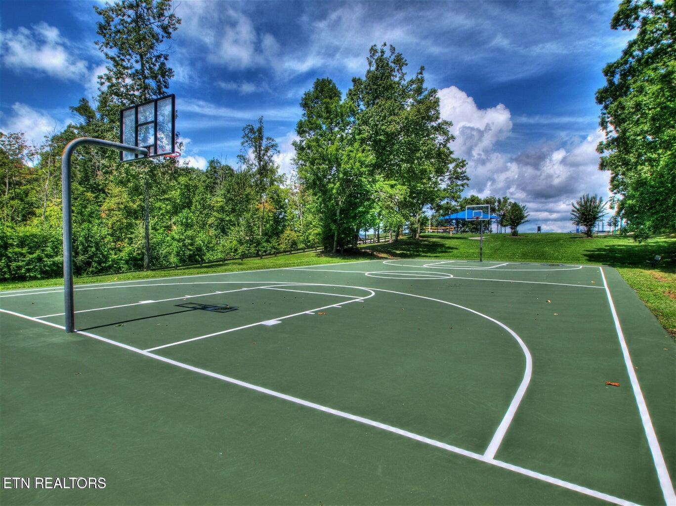 Norris Lake Real Estate - Image# 11