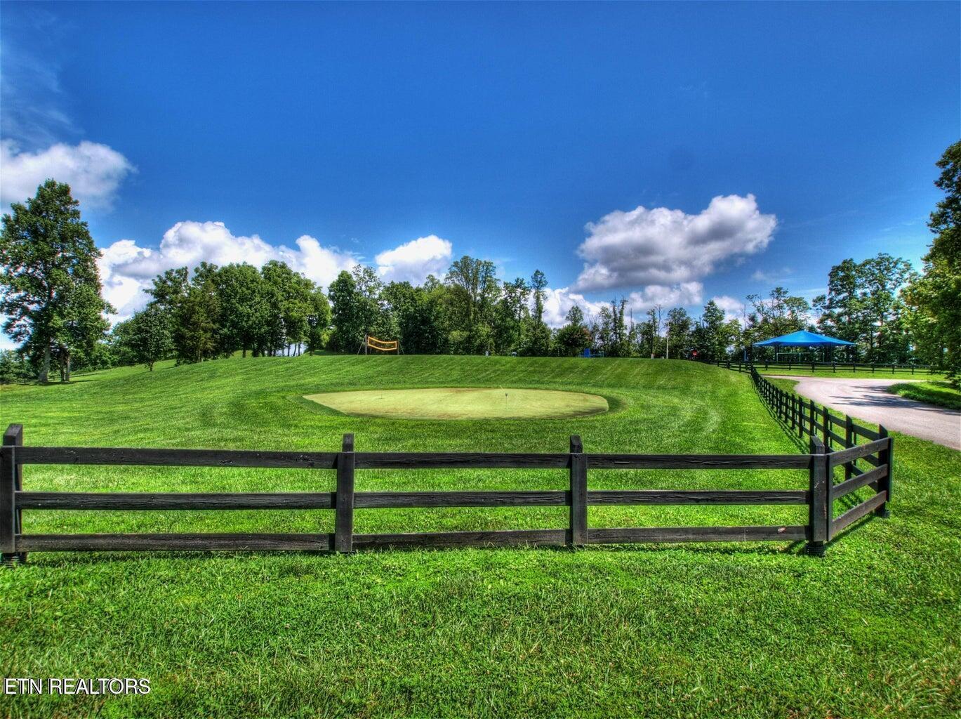 Norris Lake Real Estate - Image# 14