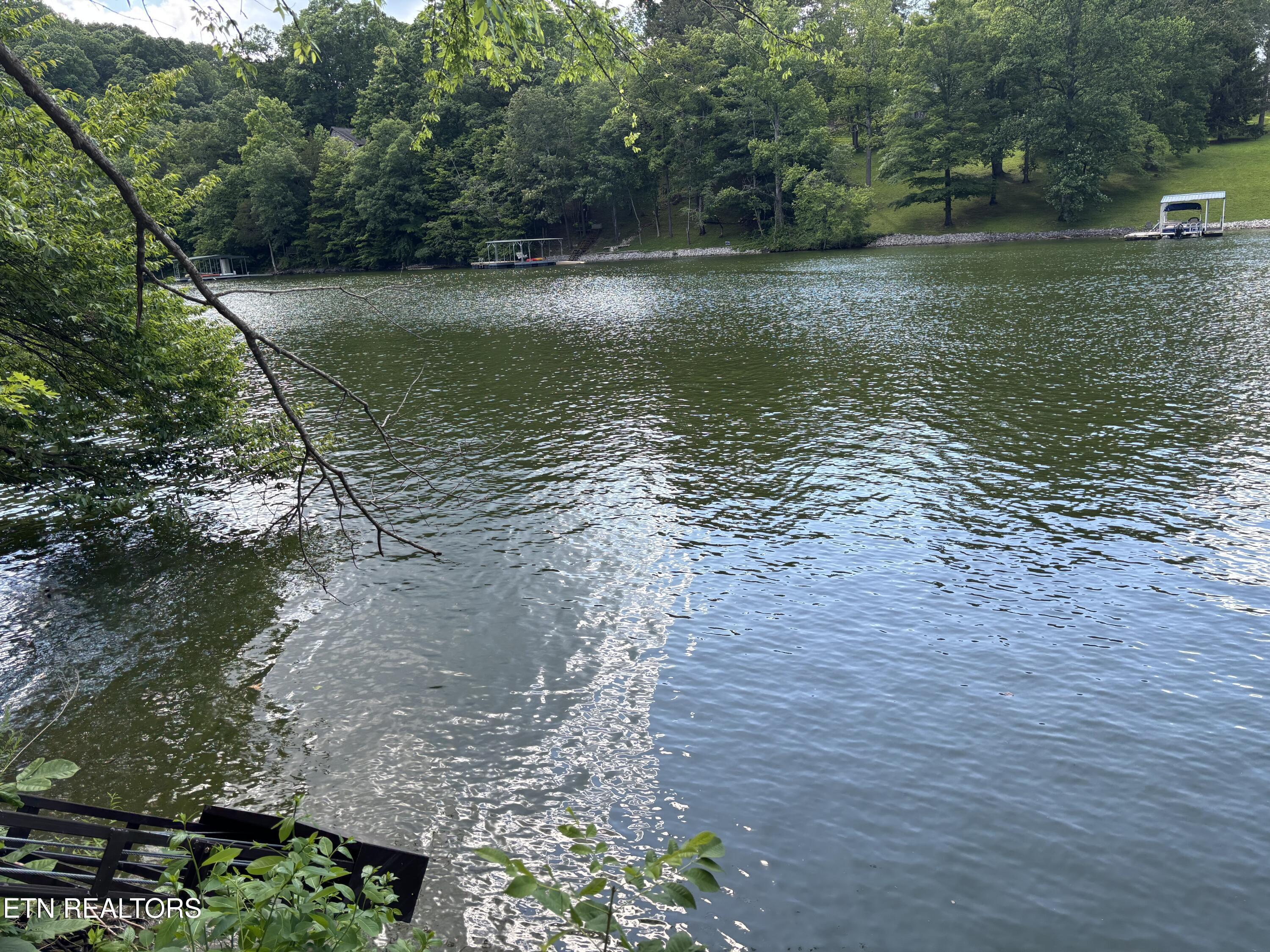 300 Bluff Trace, Jacksboro, TN - Norris Lake Real Estate - Image# 5